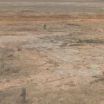 Borden planting project landscape