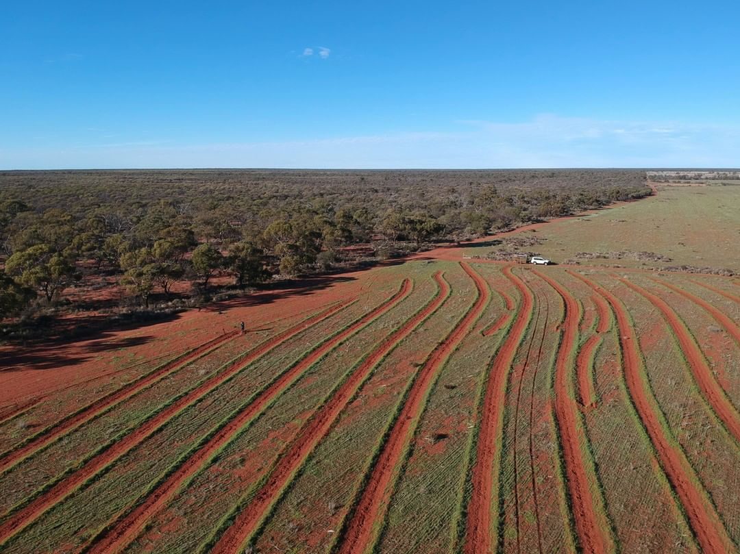 birds eye view of Eurardy site