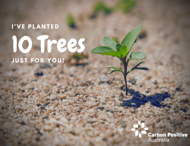 Plant Trees in Australia - Gift eCard - Great for Holidays Plant Trees in Australia - Gift eCard - Great for Holidays