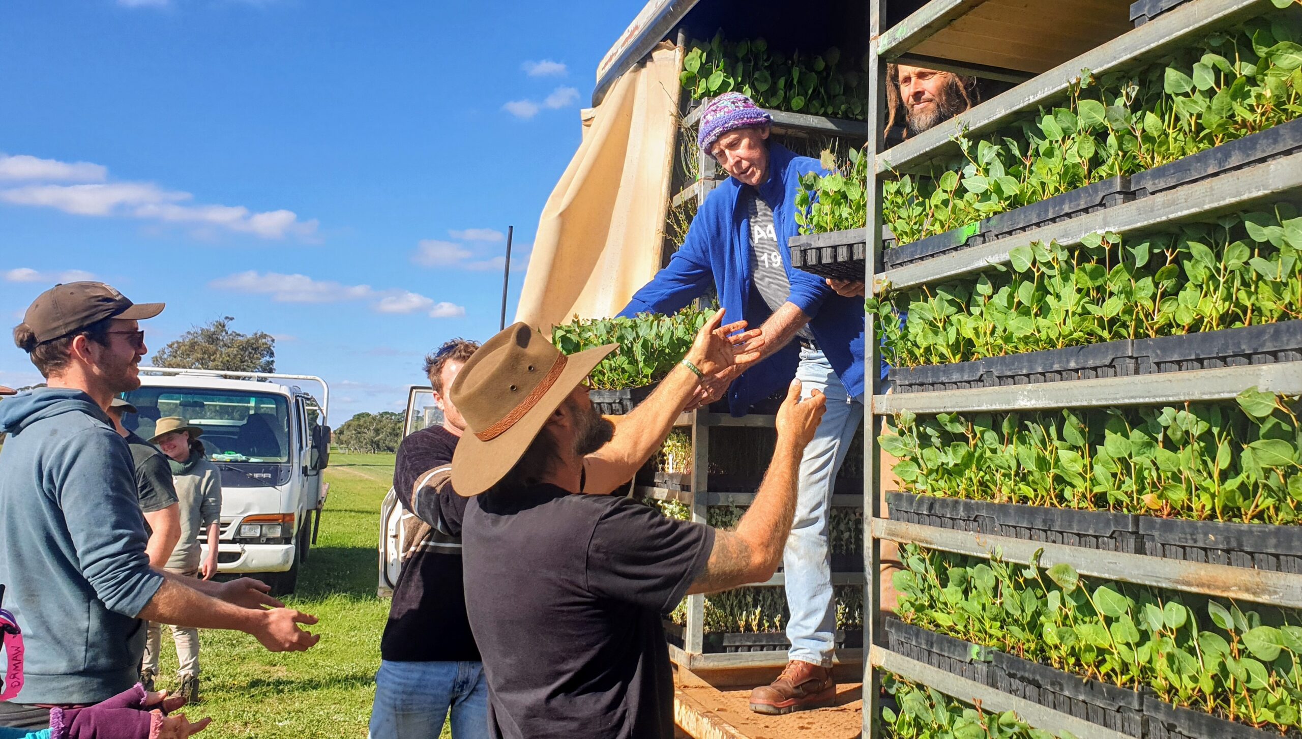 Planting team unloading seedling trays off of the delivery truck