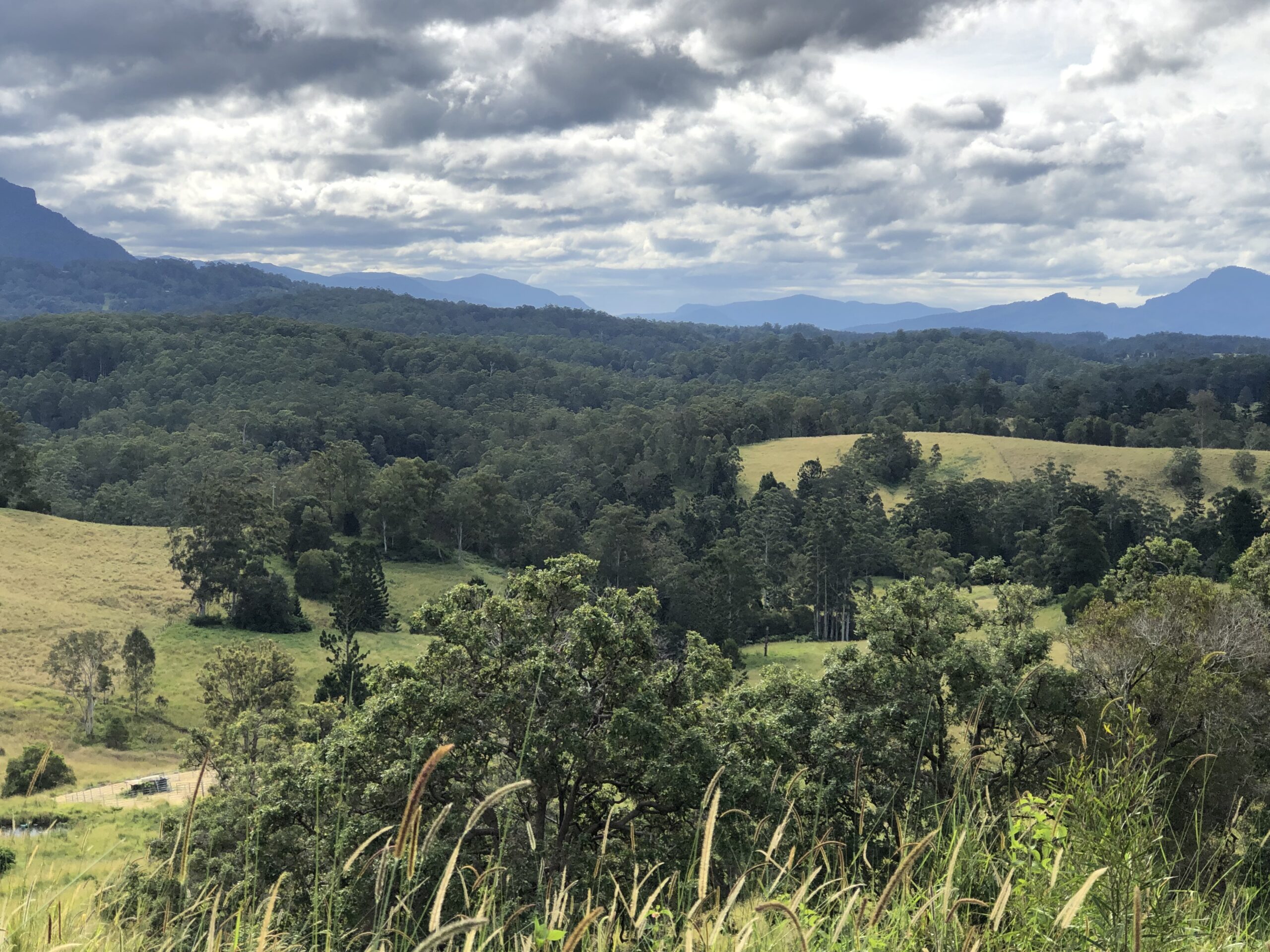 View of a large valley with dense trees