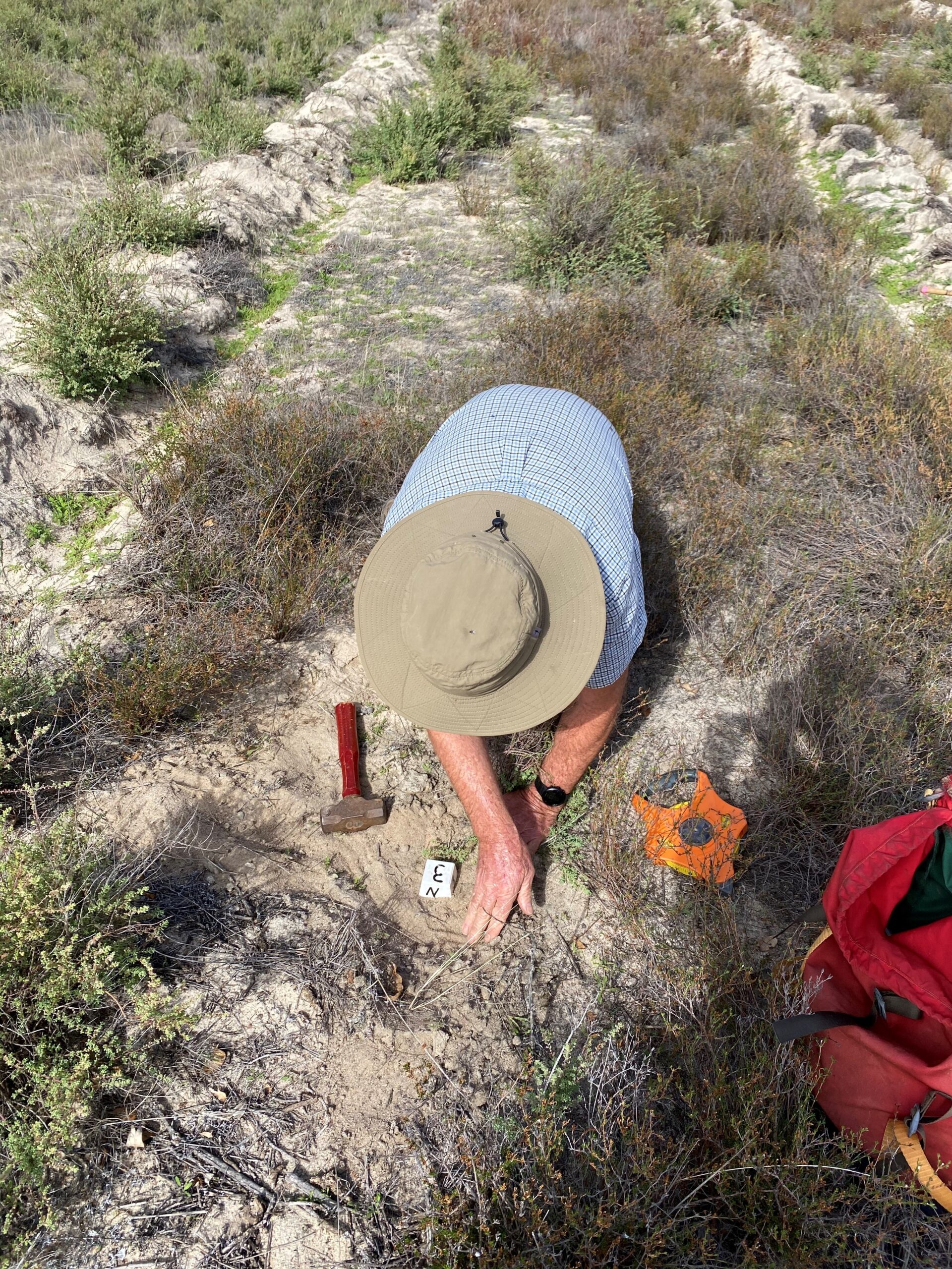 Man wearing a broad brimmed hat clearing dirt away from a white numbered marker in a weedy paddock