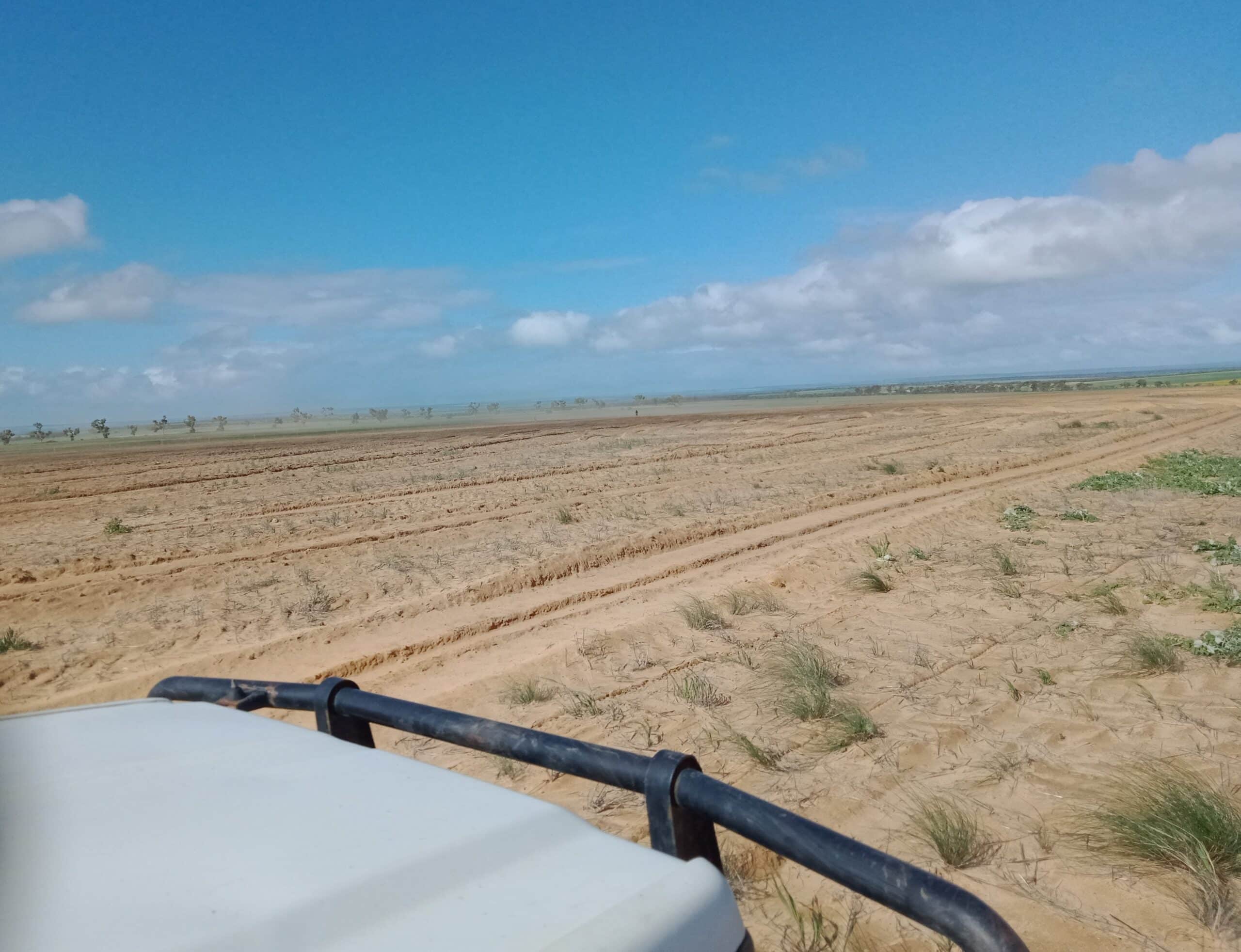 Barren paddock with the front of a car in the bottom left corner