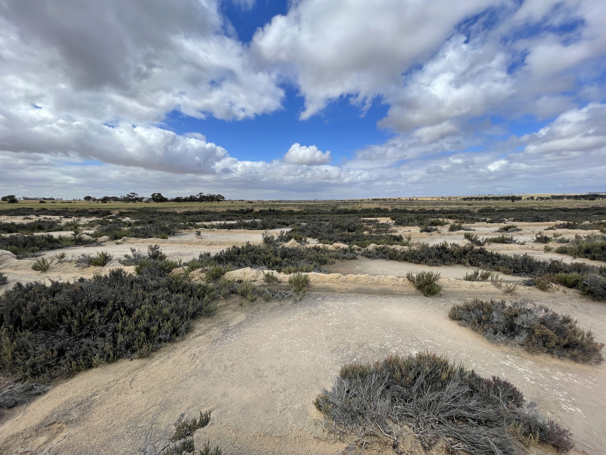 Sandy paddock with sparse vegetation and signs of water erosion