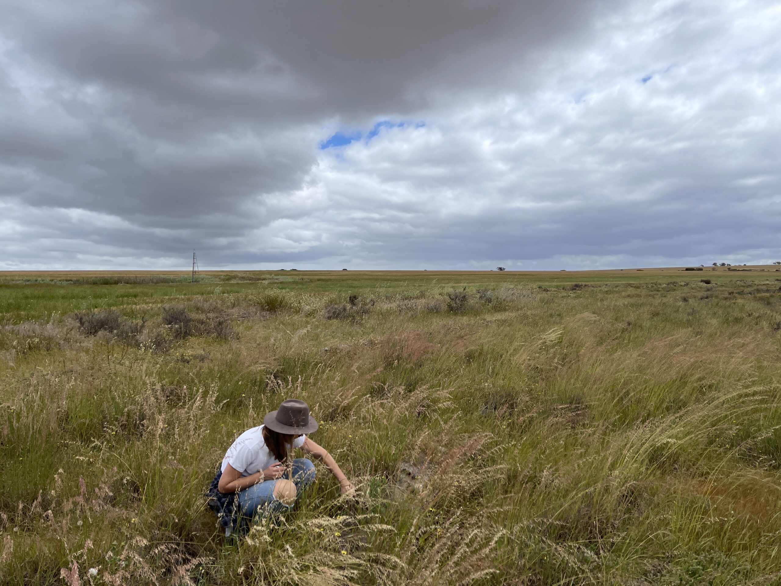 Lady wearing jeans, a white t-shirt and a broad brimmed hat squatting down in a weedy field to monitor a carbon project.
