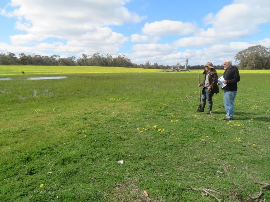 Two men standing overlooking a cleared area of land.