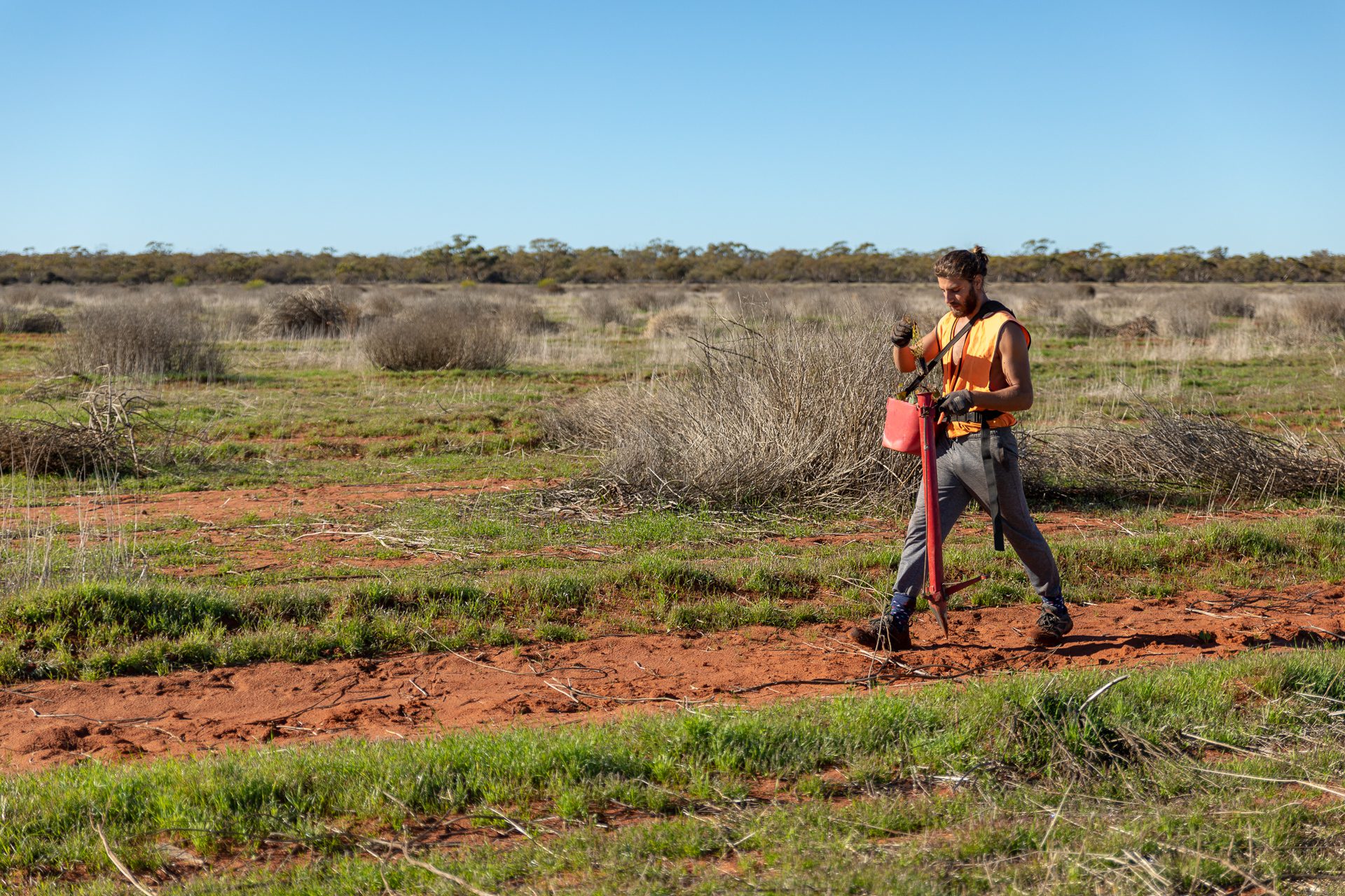 Person in high vis shirt holding a kidney bucket full of seedlings and a pottiputki planting device