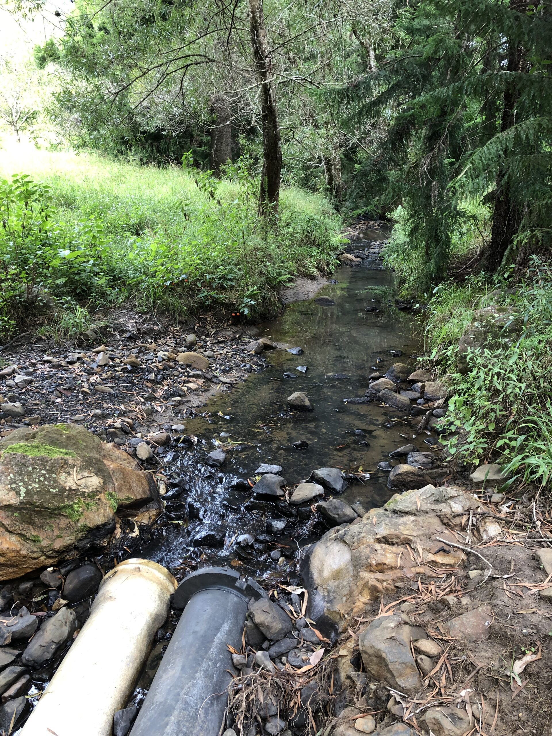 Two exposed concrete drains across a creek with trees and rocks surrounding