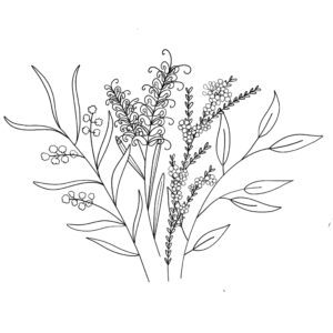 Native species illustration
