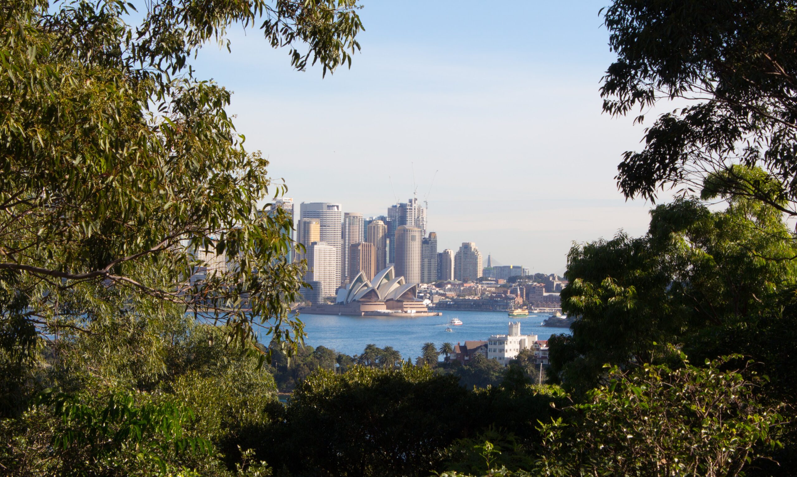 Trees surround view of Sydney Harbour Trees surround view of Sydney Harbour