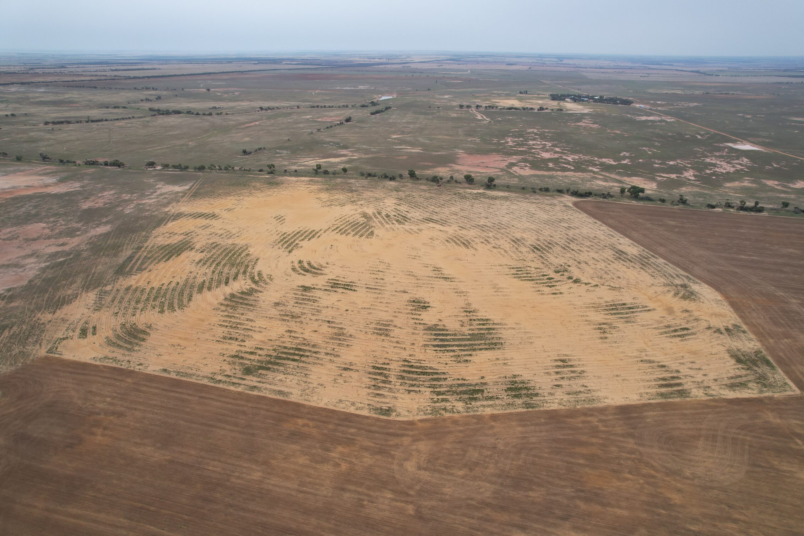 Drone photo of yellow, sandy paddock