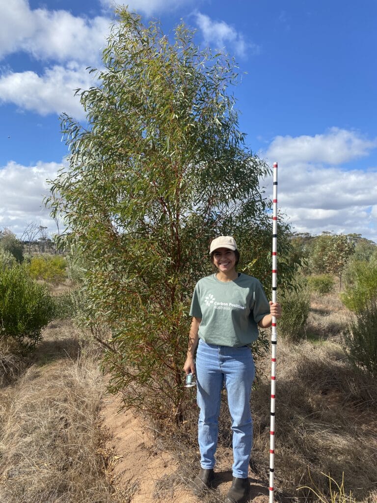 2305_213 Borden Monitoring (6) Woman standing next to a tree in planting row holding a measuring stick