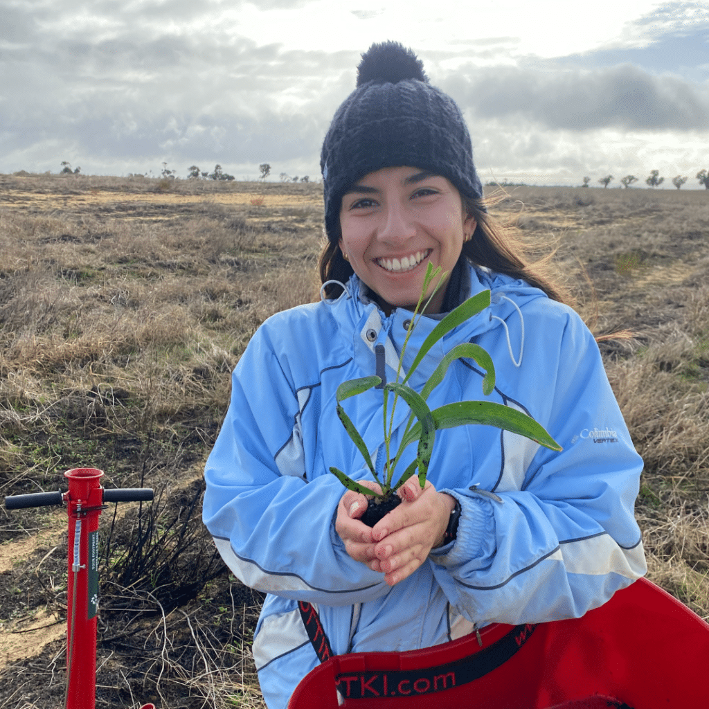 woman holding seedling at planting site