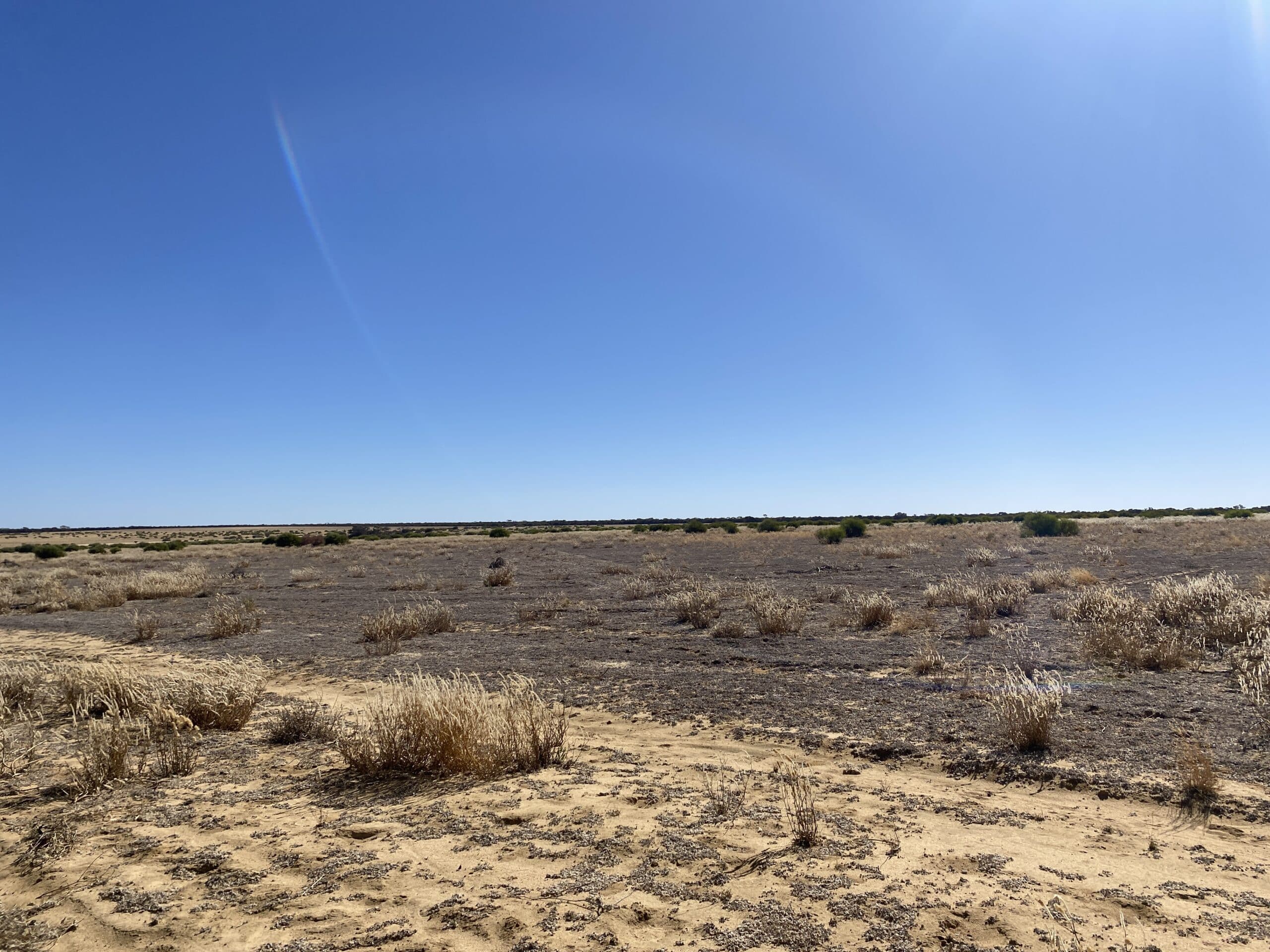 cleared dry and sandy area with low weeds