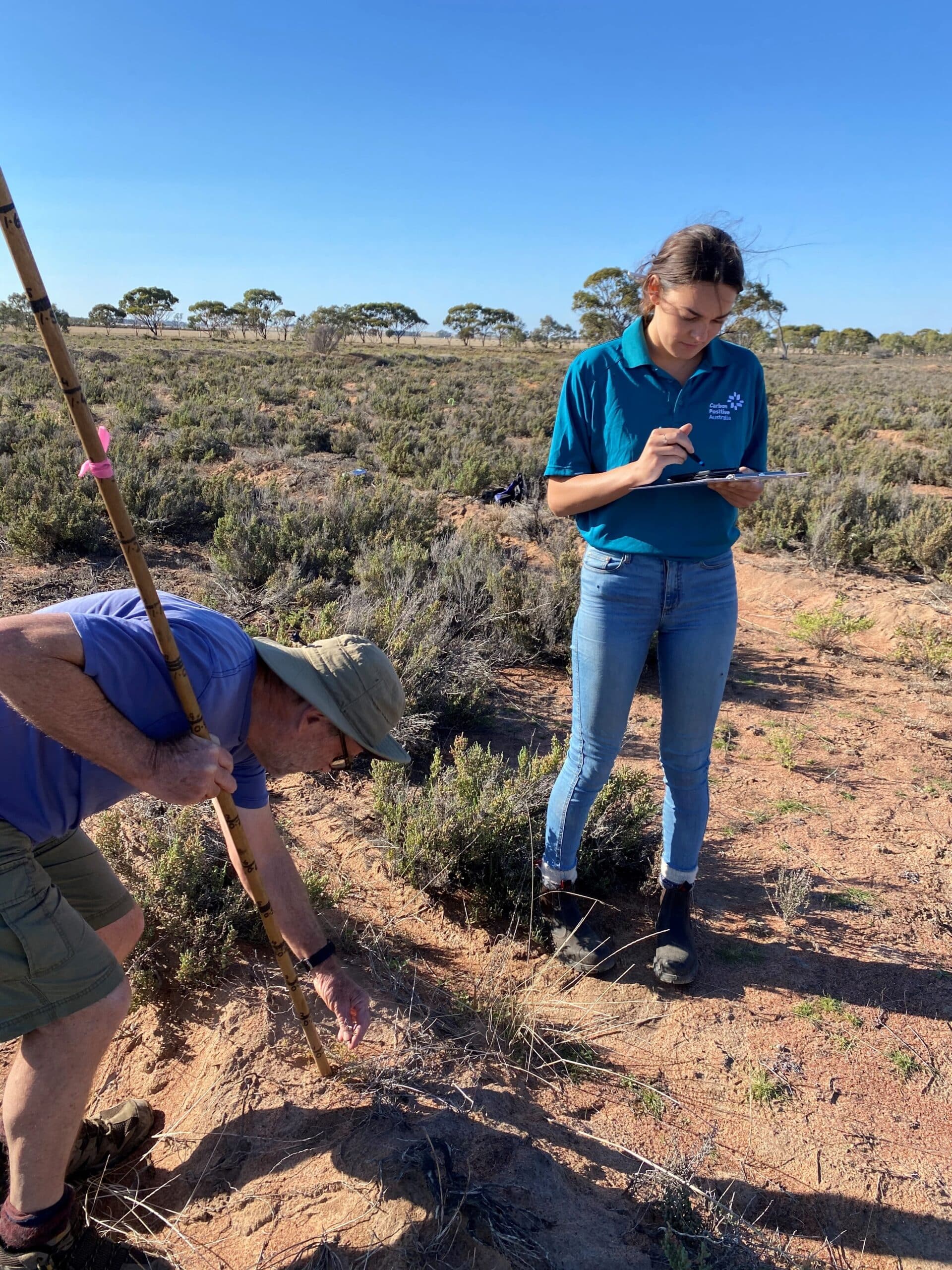 man bending down to measure the height of a plant with a measuring stick and a woman standing next to him holding a clipboard