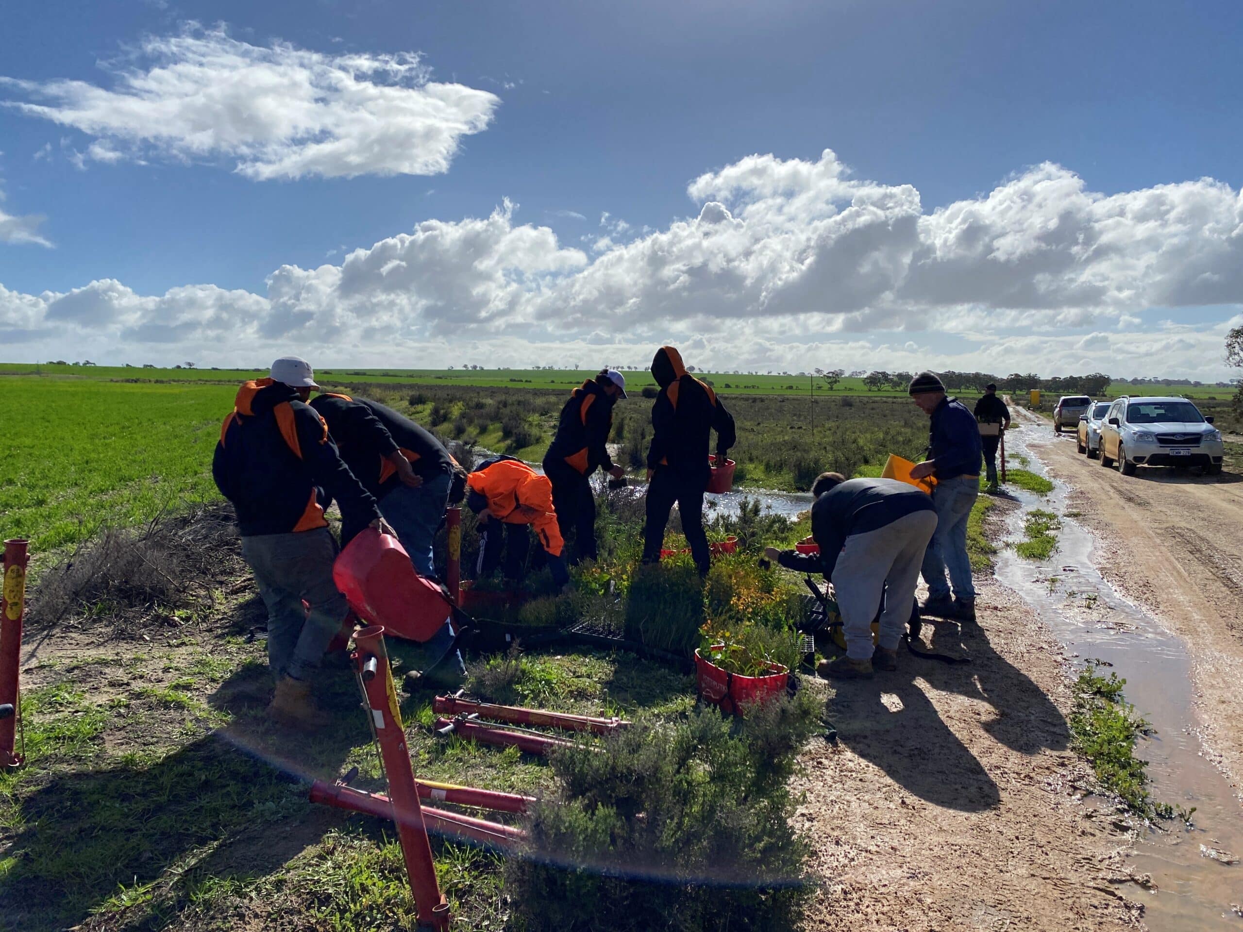 people loading up their planting buckets with seedlings ready to start planting