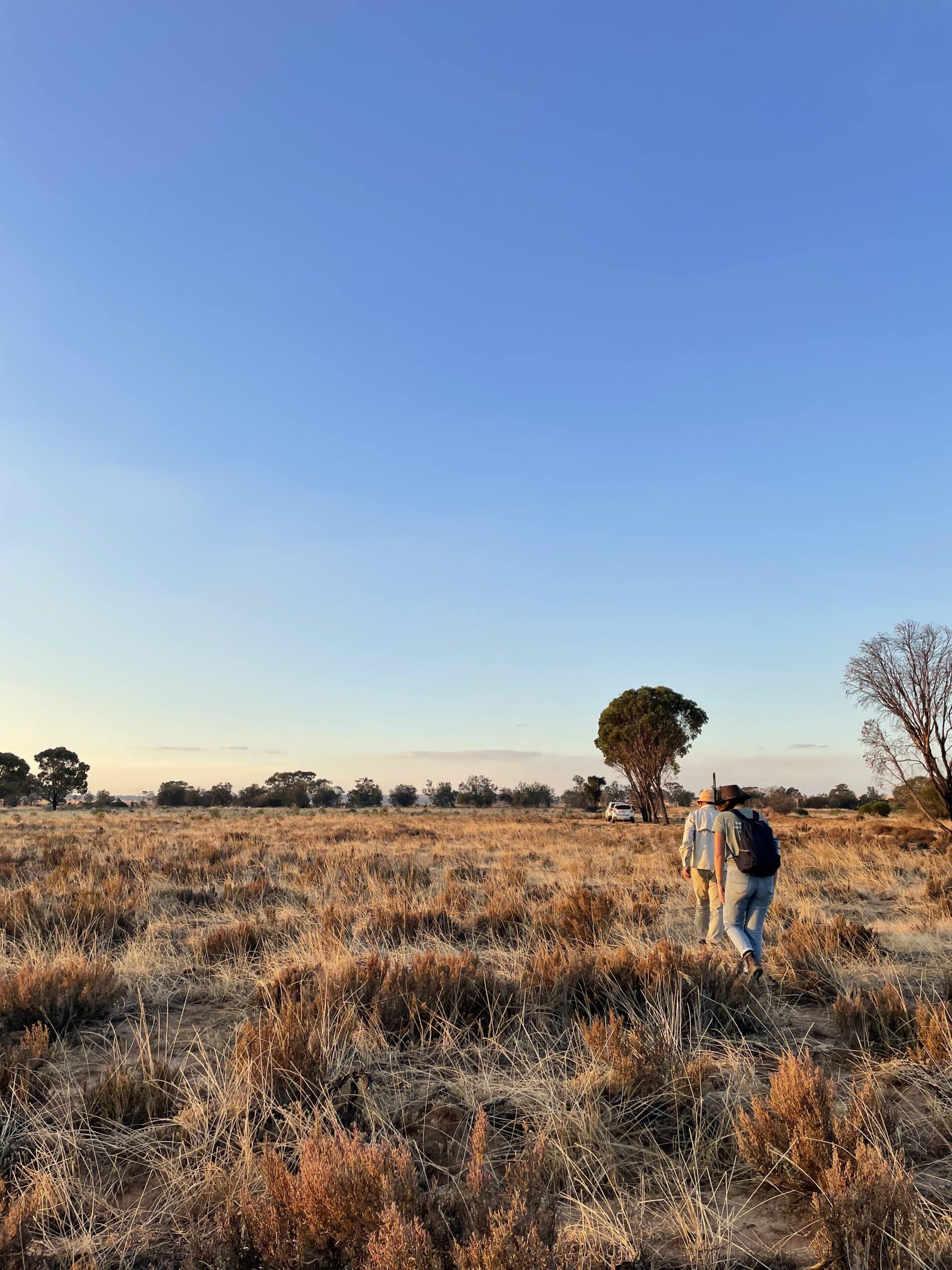 2 people walking across a planting site