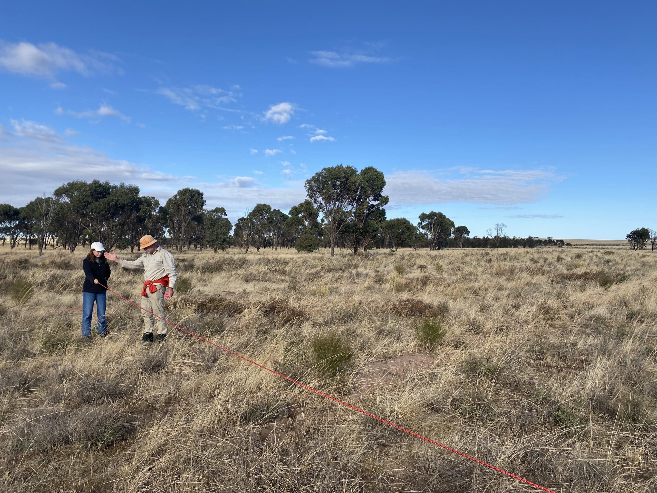 Man with his hand up directing a women holding a rope across a paddock with dry weeds