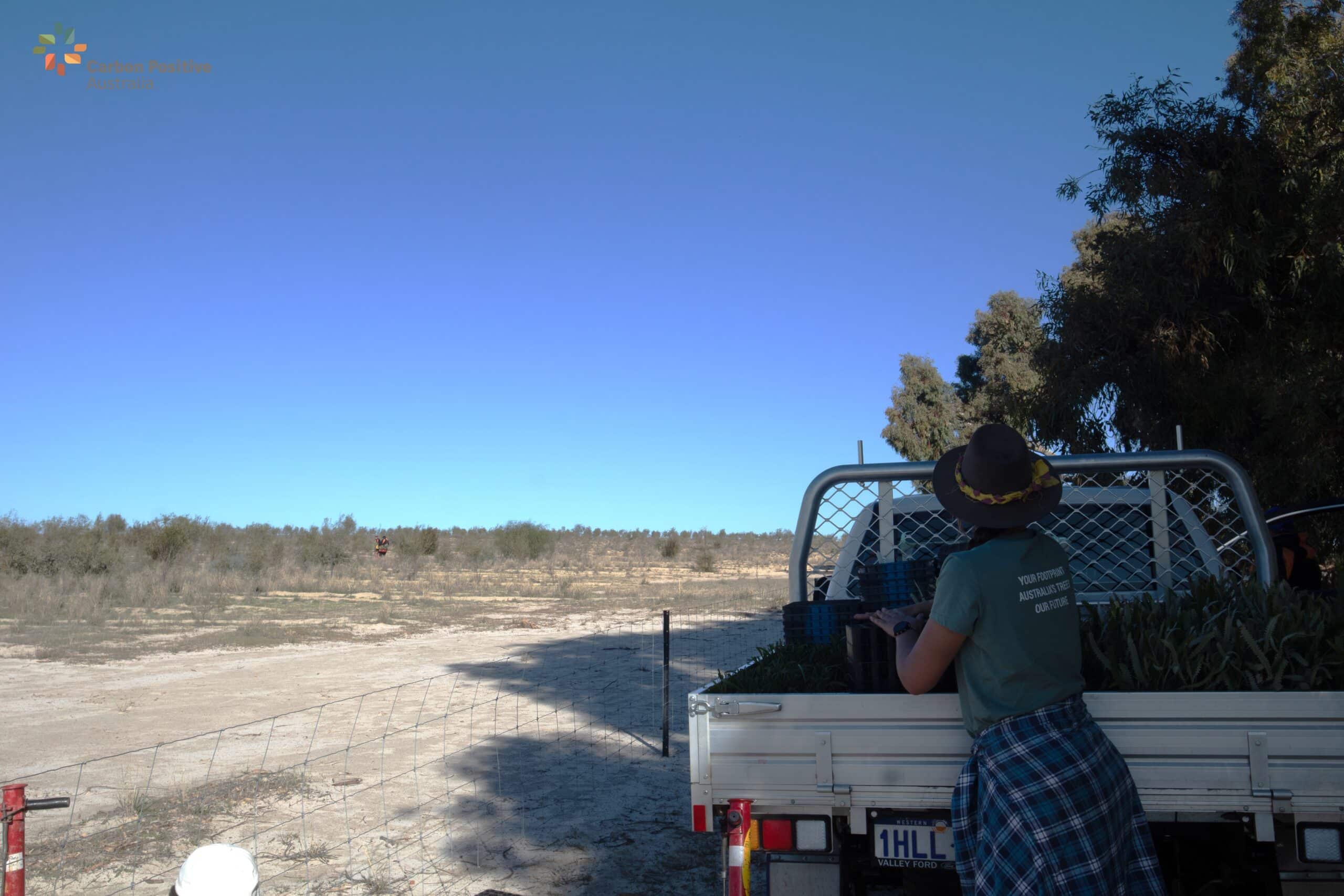 Woman standing with back to camera facing ute tray to fill seedlings buckets