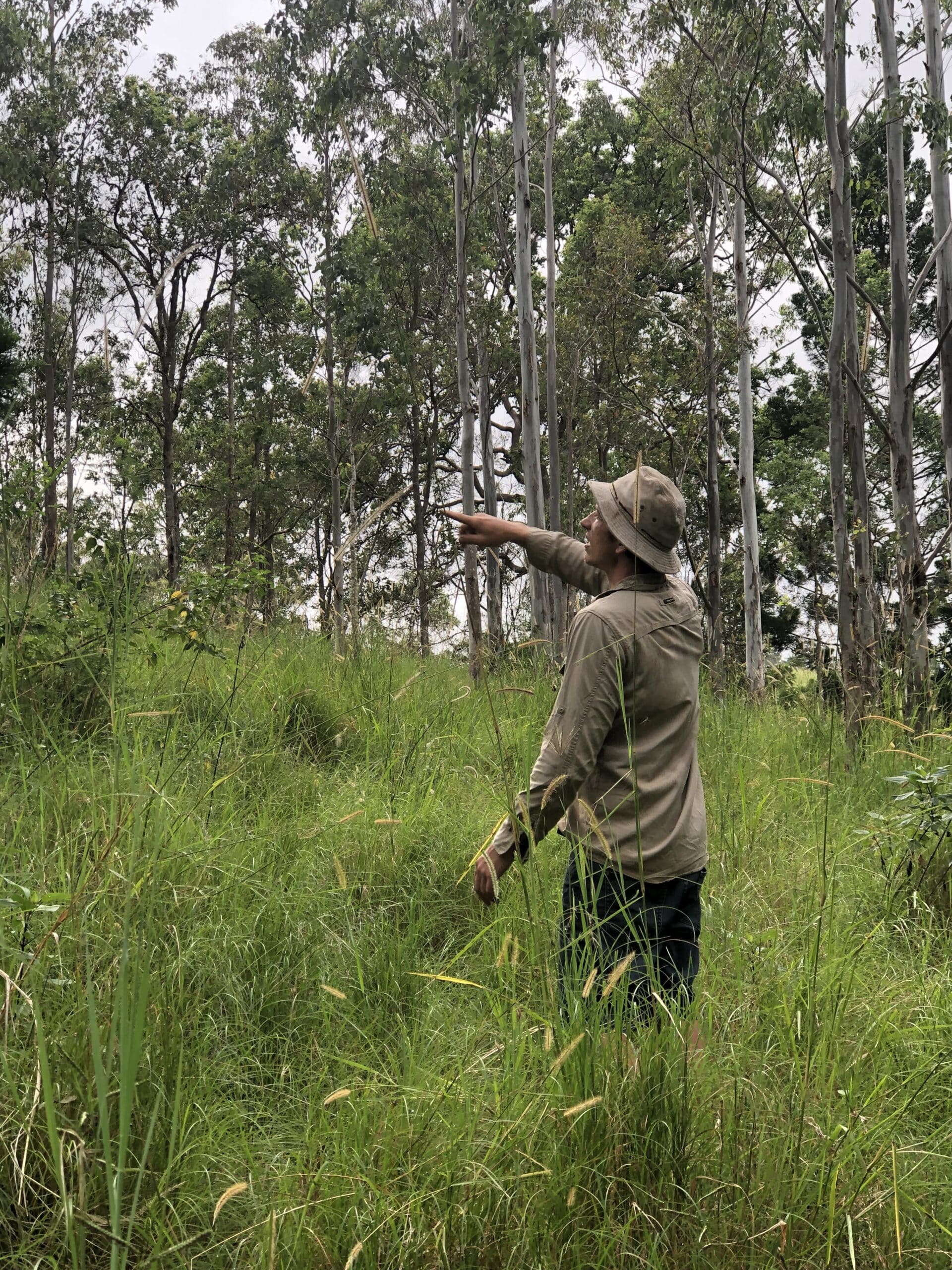 Man standing amongst high grass pointing towards tall trees in background