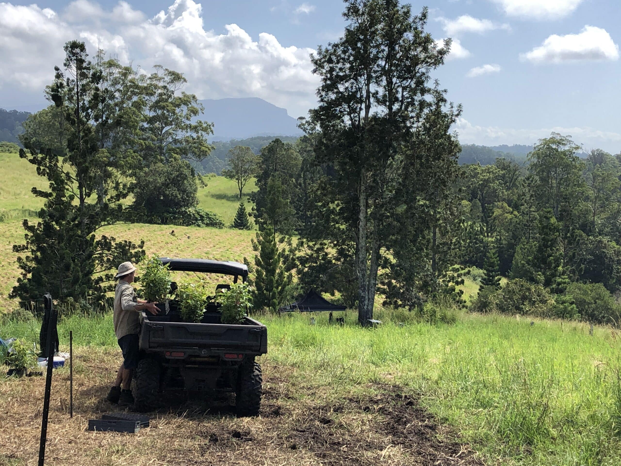 Man carrying seedling trays out from the back of a ute tray