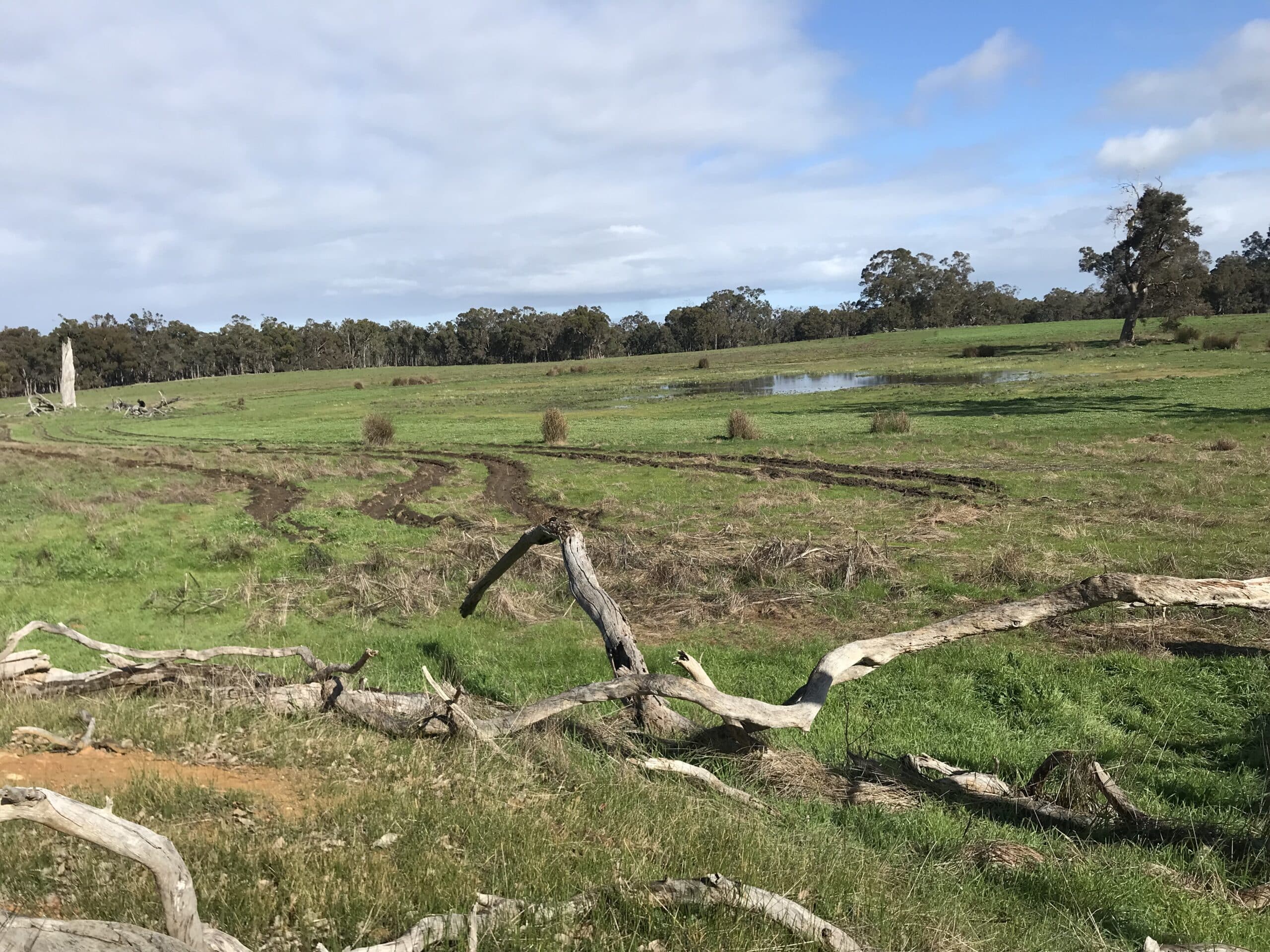 Waterlogging visible behind planting rows on the site.