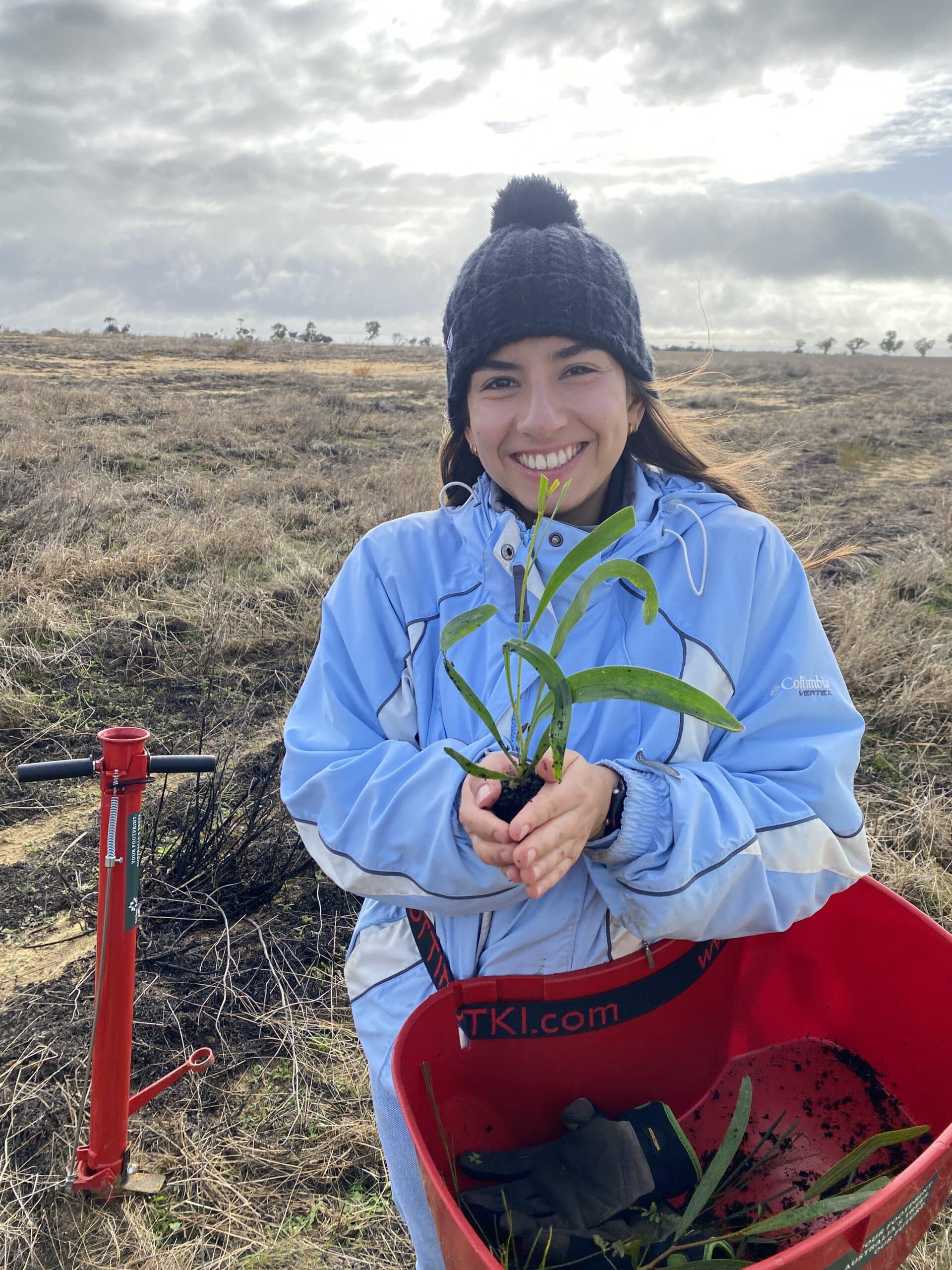 Woman holding an Acacia acuminata seedling.