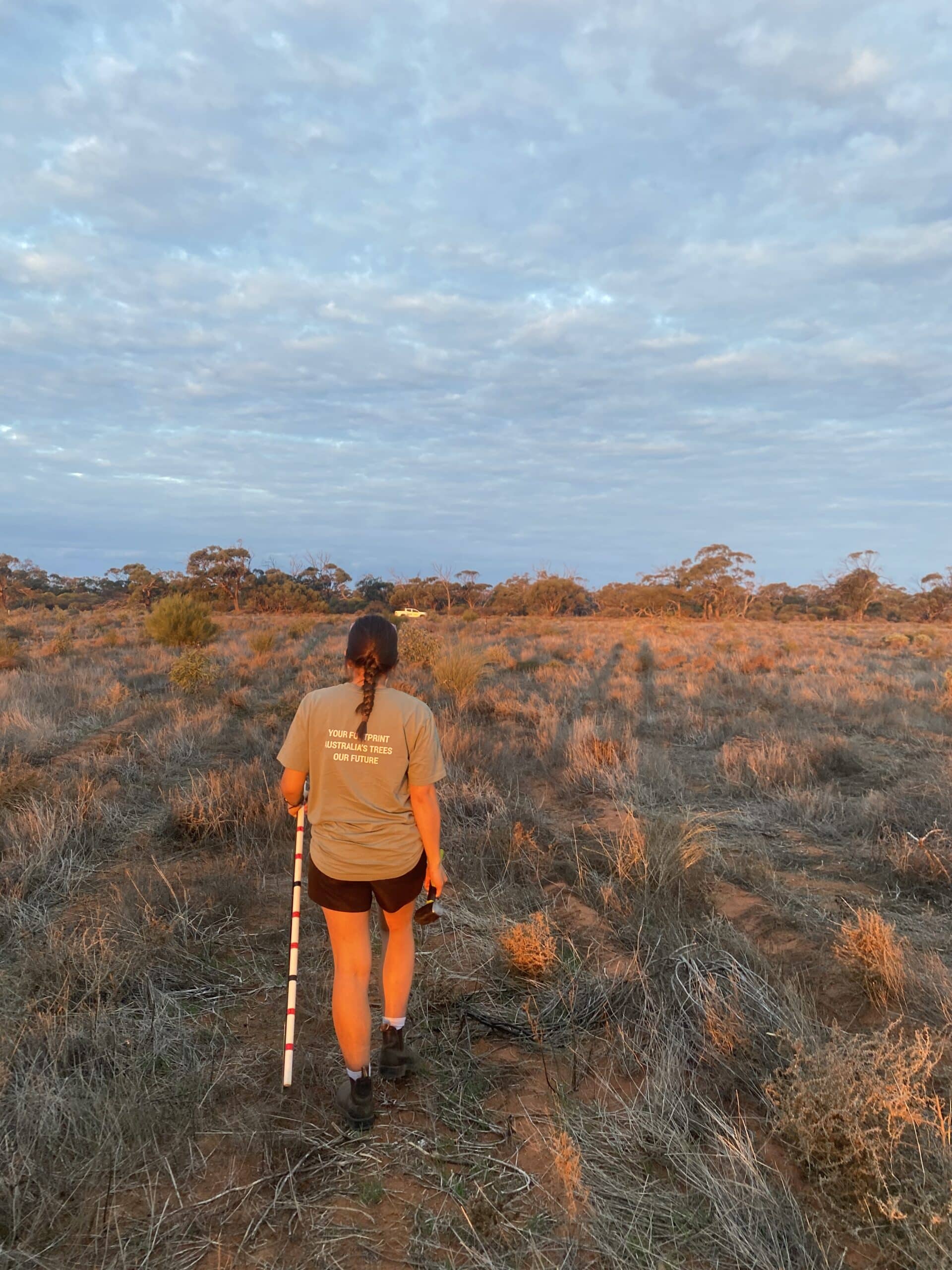 Woman walking through a planting area during sunset.
