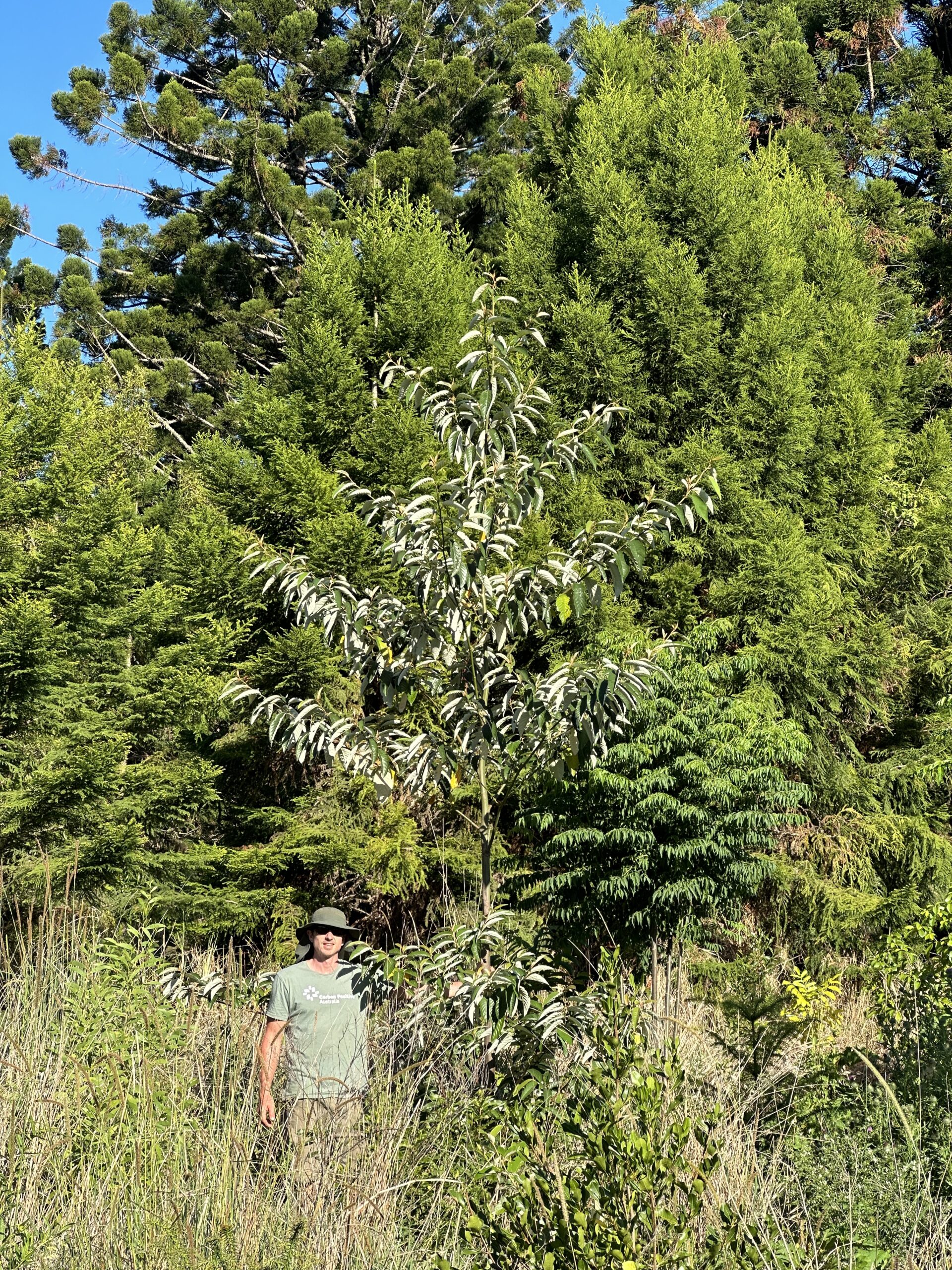 Man standing next to a tall tree with forest in background