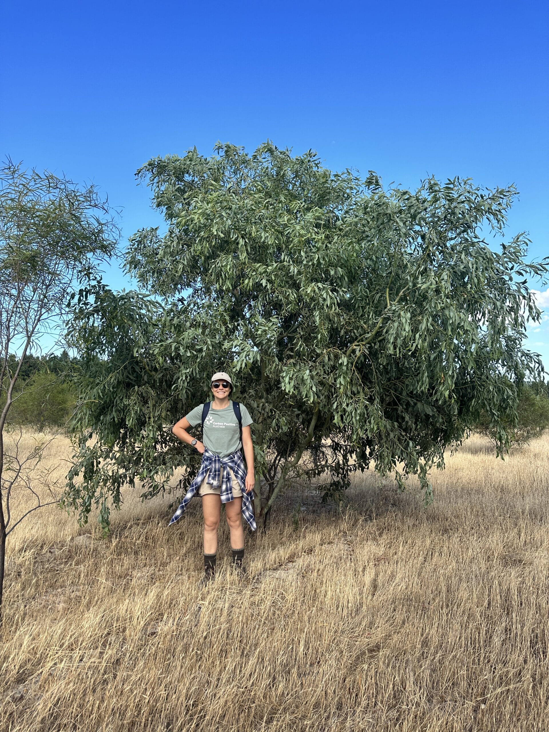 Women staning next to an Acacia microbotrya ('Manna wattle')