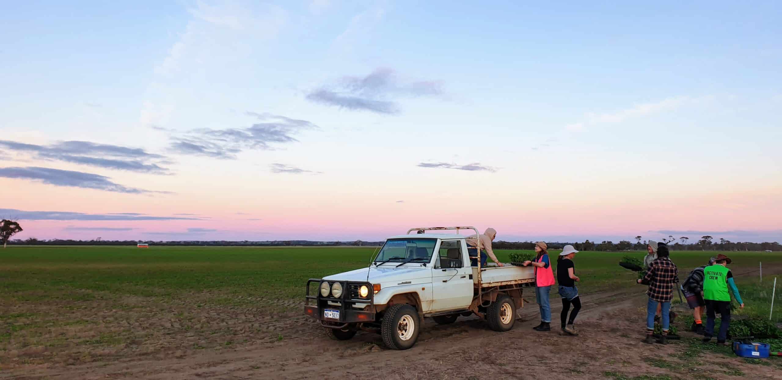 People unloading trays of seedlings from the back of a ute tray