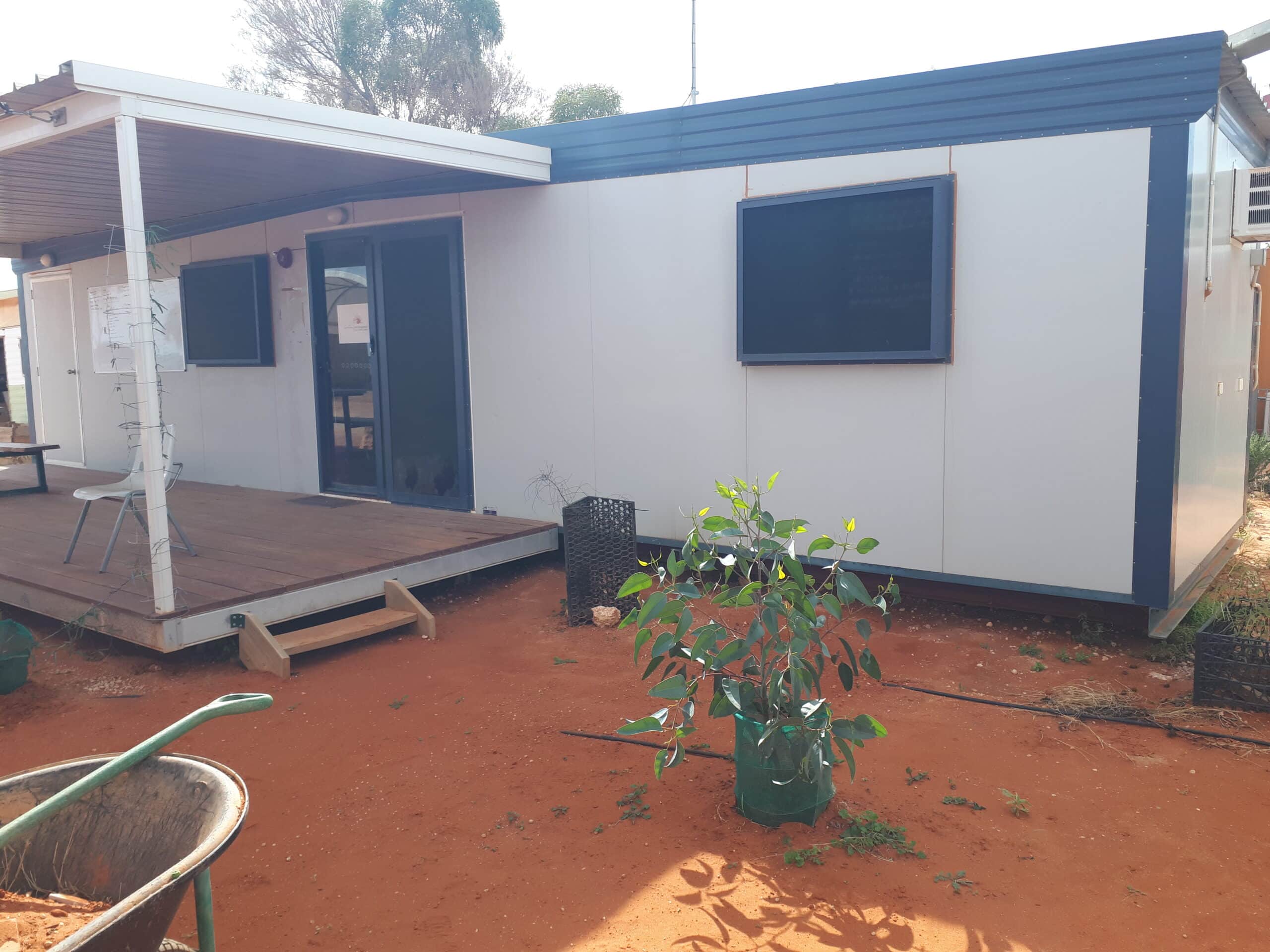 Eucalyptus tree growing in red dirt out side of small building
