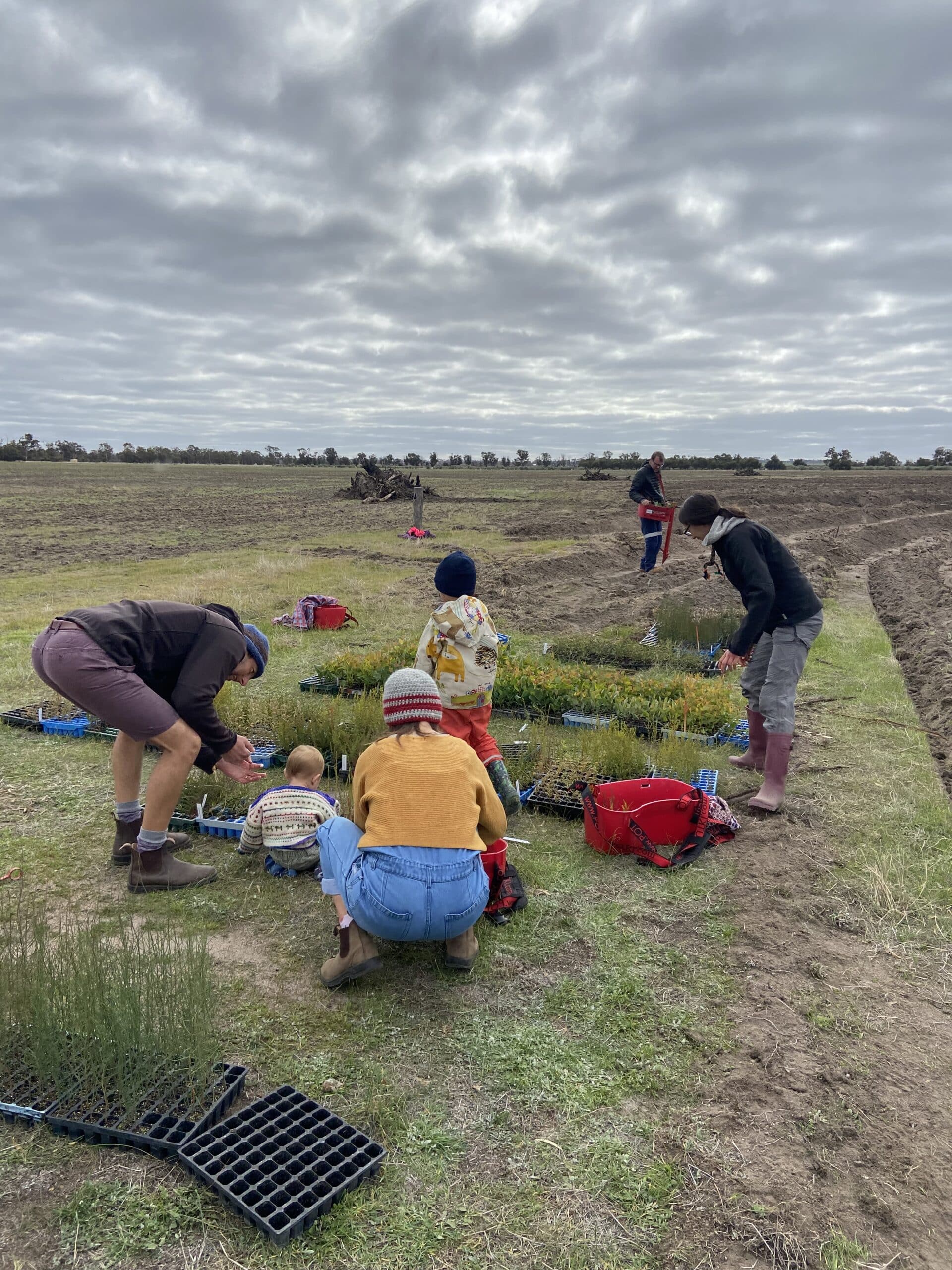 Adults and children standing and couching around seedling trays on the ground