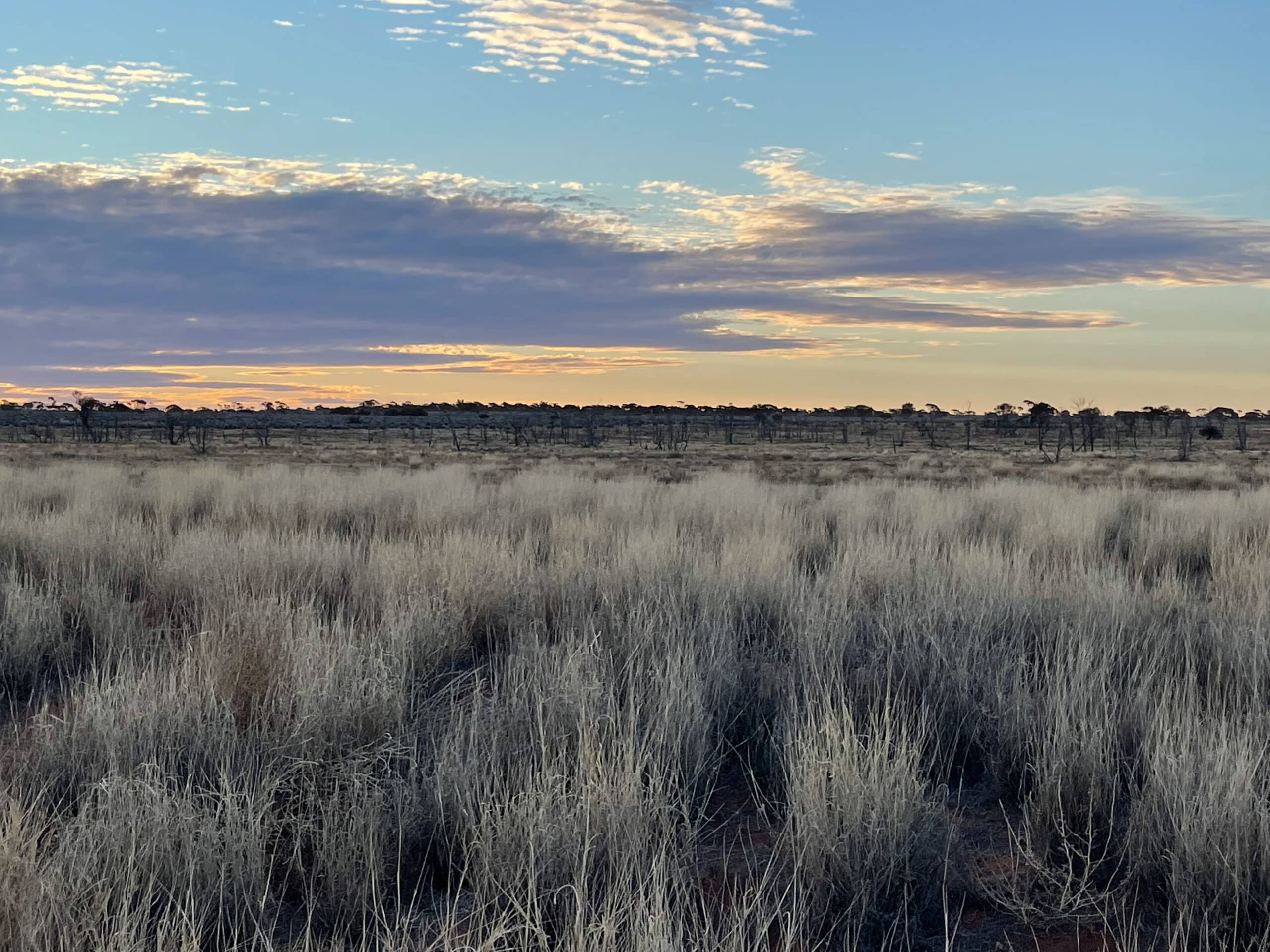 Sunset over the Great Victoria Desert.