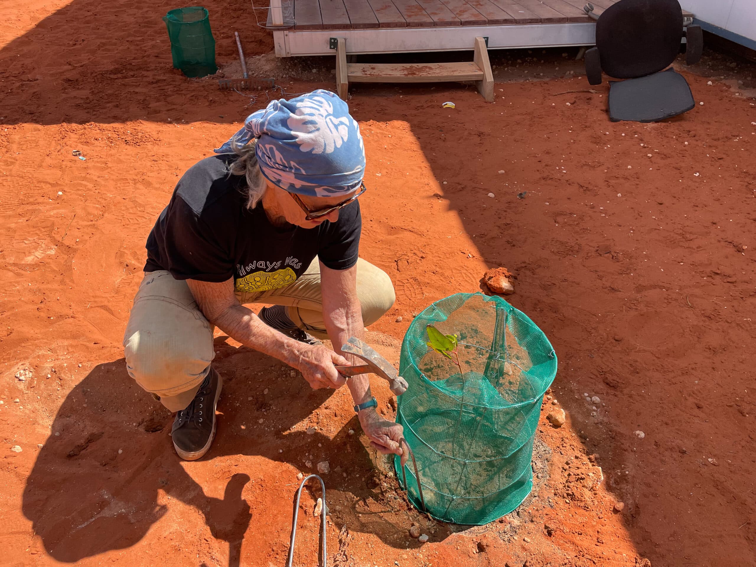 man installing a hand-made tree guards
