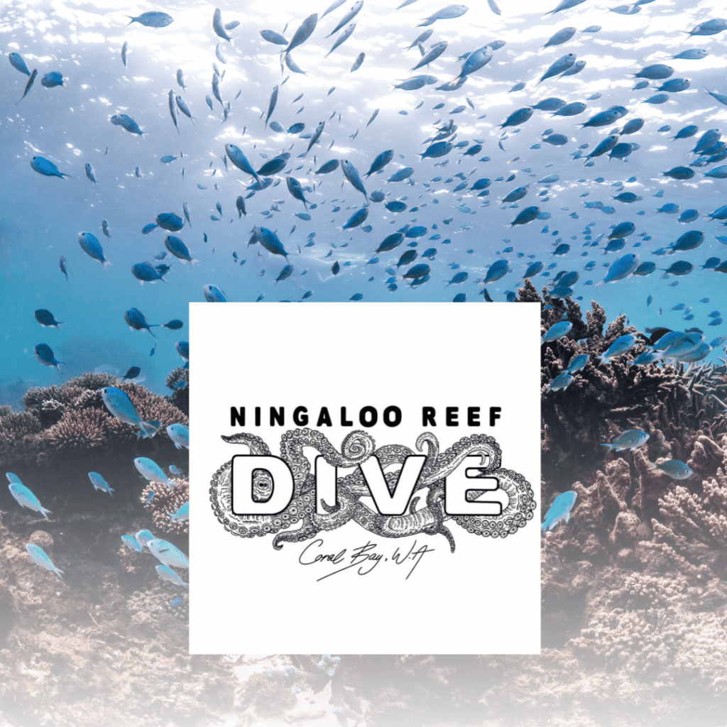 Ningaloo-Reef-Dive Ningaloo Reef Dive