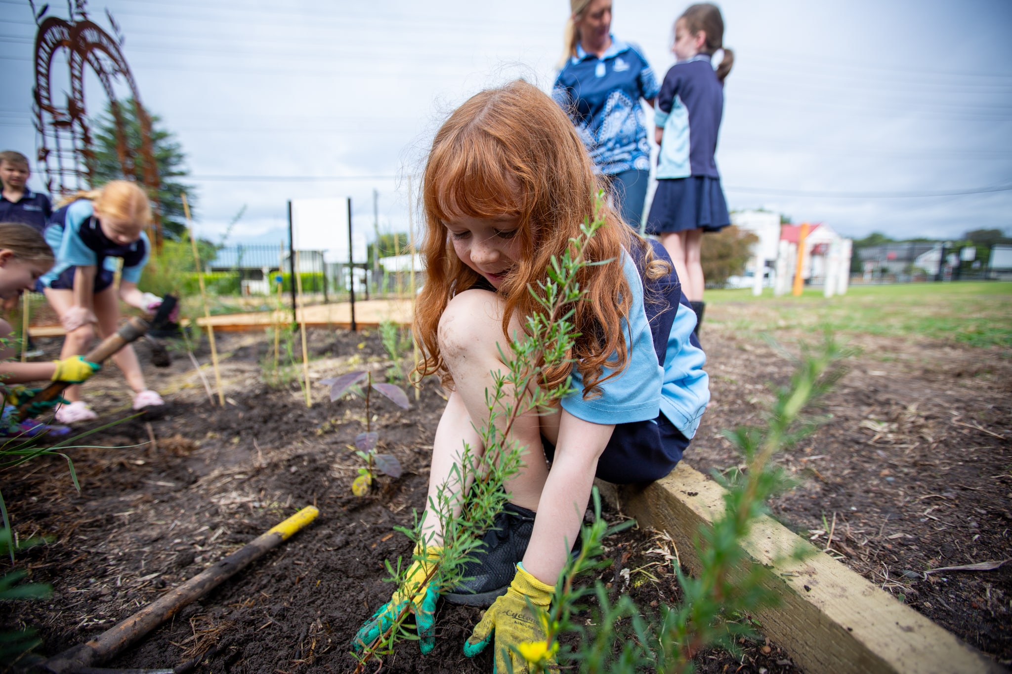 Child planting tree in Miyawaki tiny forest