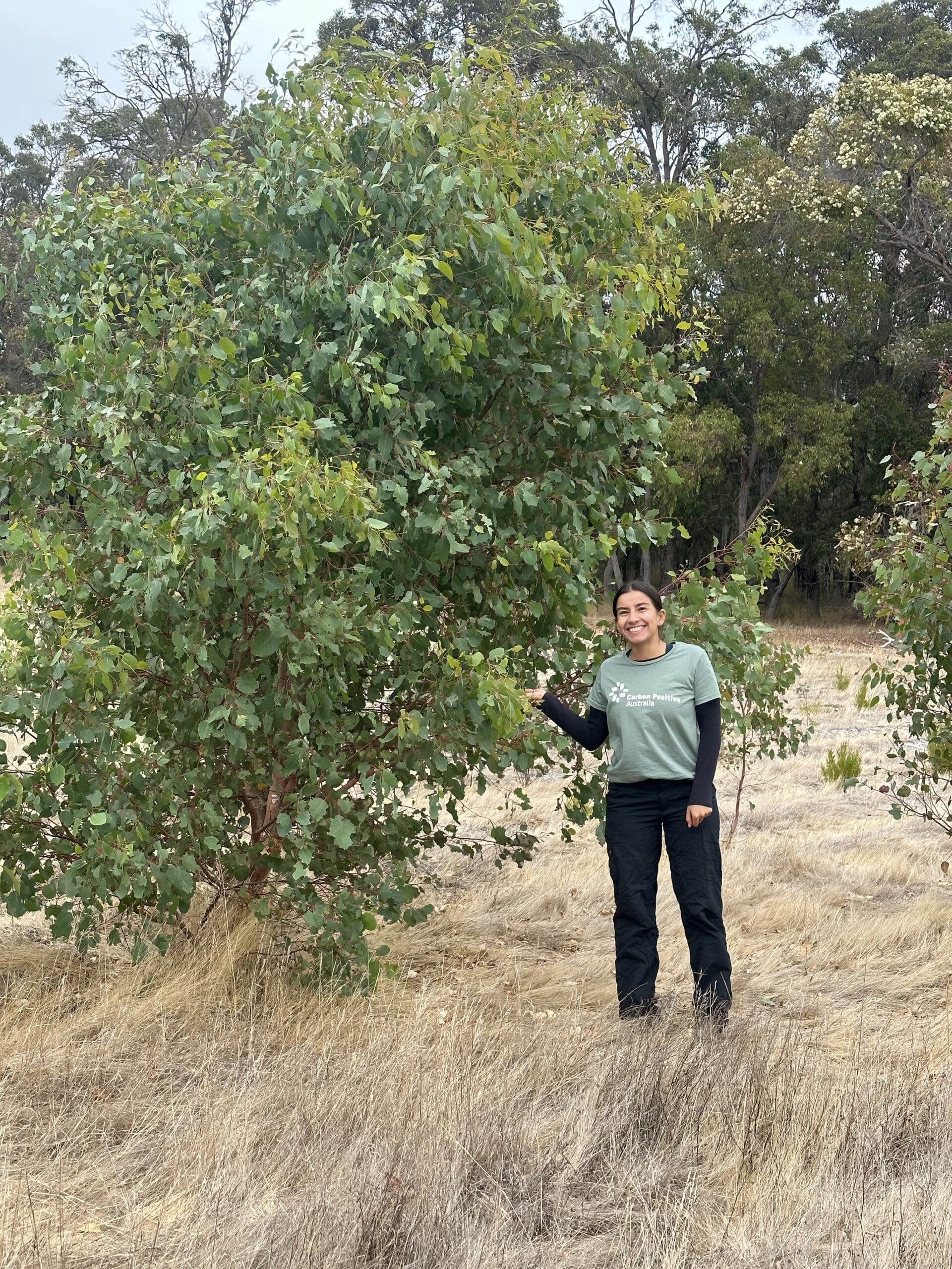 Women standing next to a tall tree