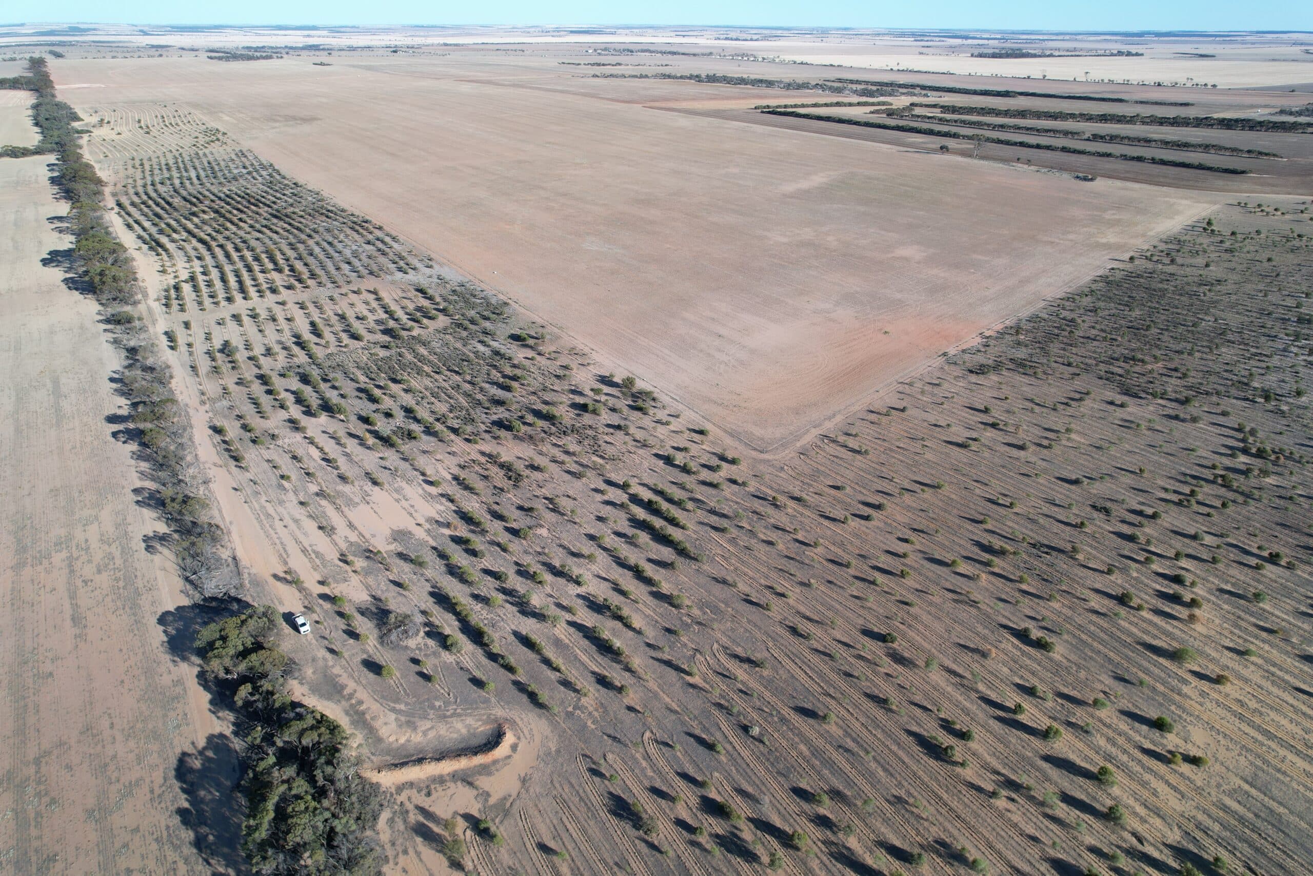 View looking North West over the planting site in 2024.