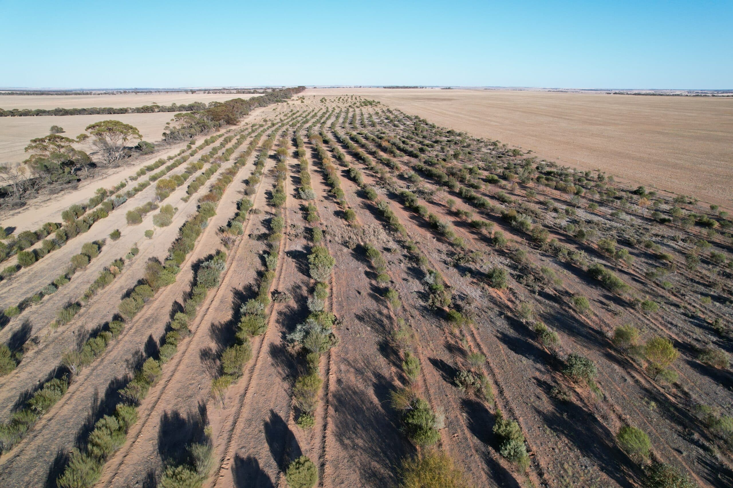 View looking east over a part of the site in 2024.