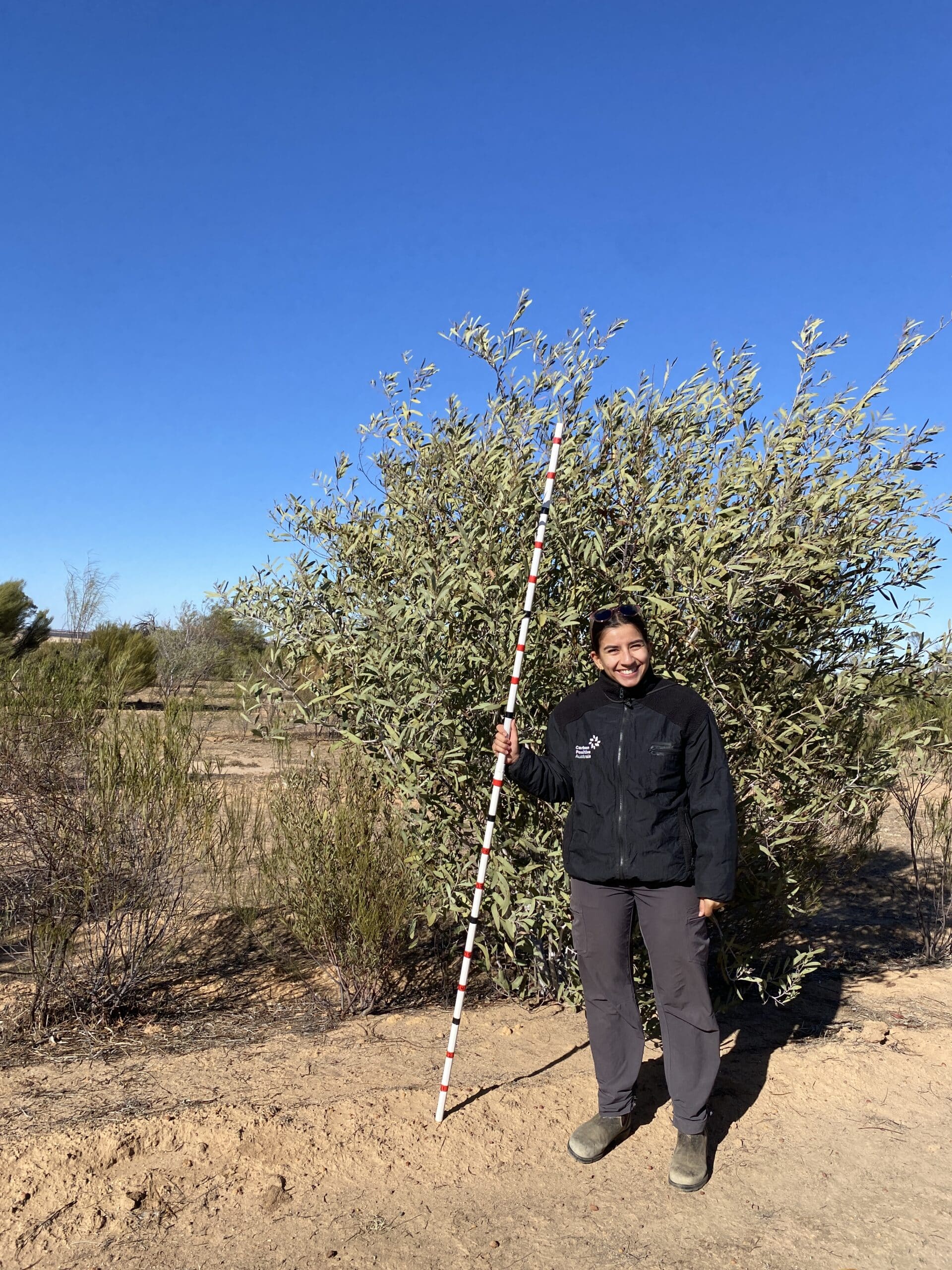 Women with a measuring stick standing next to an Acacia microbotrya