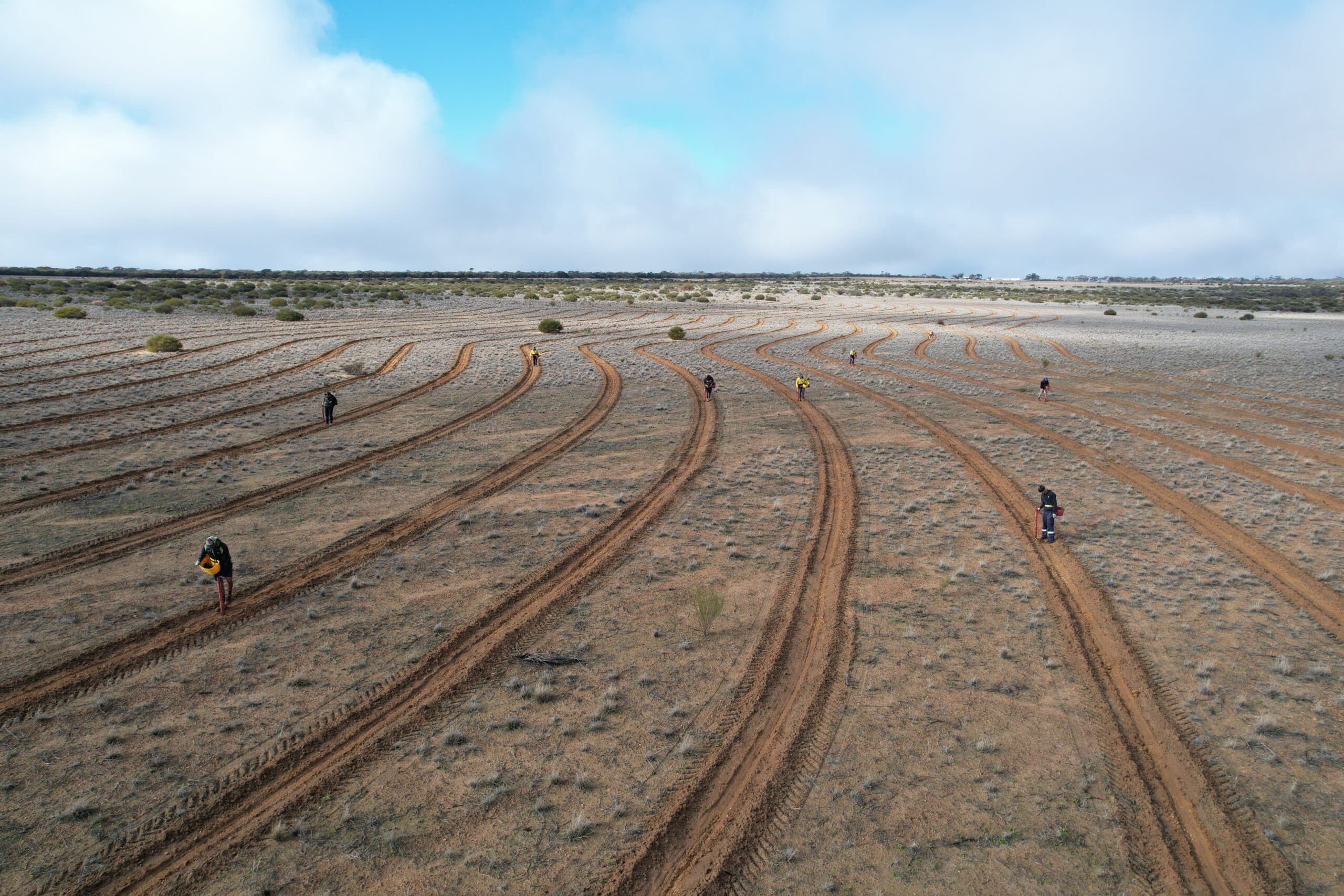 Drone image of people planting along planting rows in a large cleared paddock