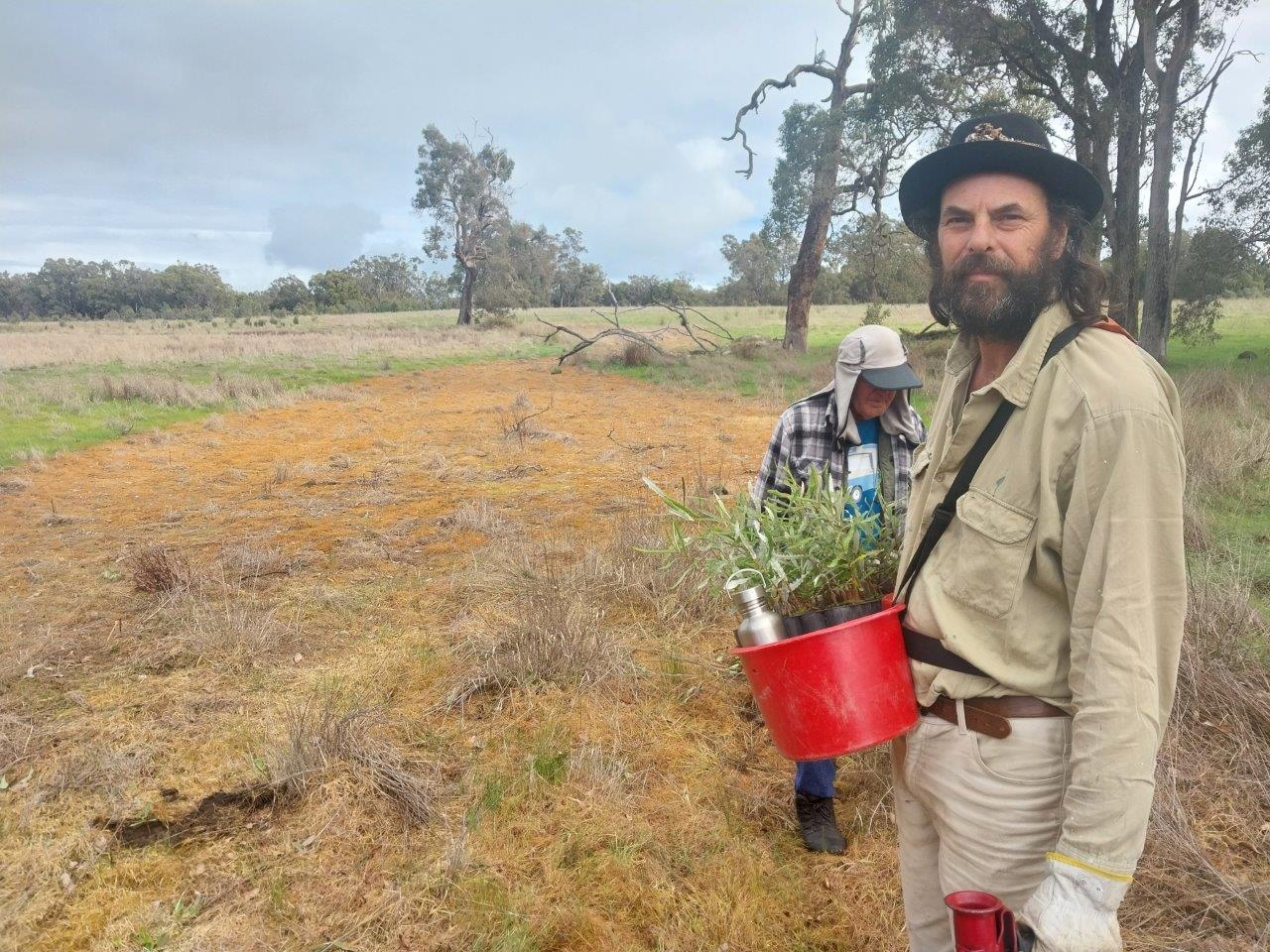 Man standing with a bucket full of seedlings in an open paddock with mature trees in the background.