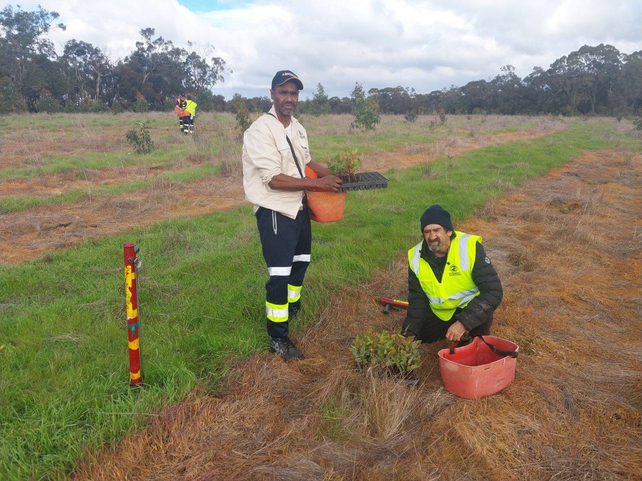 Two men filling up red seedling buckets with seedlings.