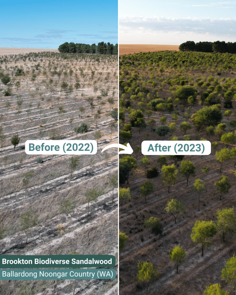 CPOZ_Post 12-08-24_Brookton BeforeAfter (LinkedIn)