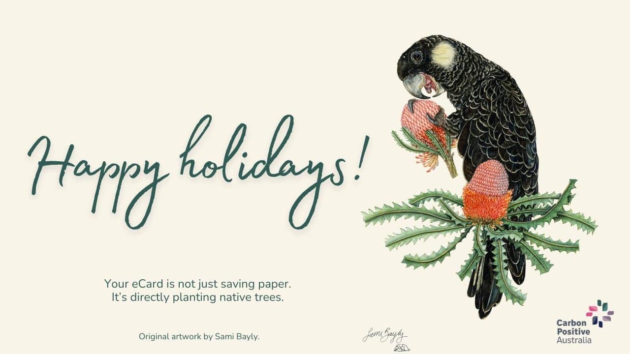 Sami Bayly artist eCard