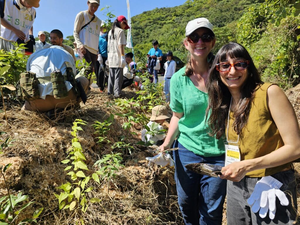 Groundswell-Collective-Carbon-Positive-Trees