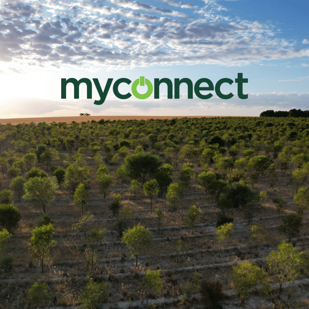 MyConnect-Plant-Trees-Carbon-Positive
