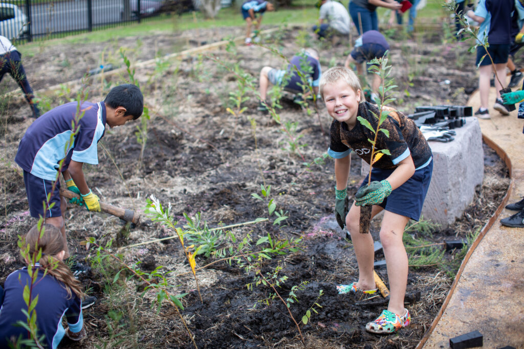 Community-Pocket-Forest-Planting-Carbon-Positive-Australia