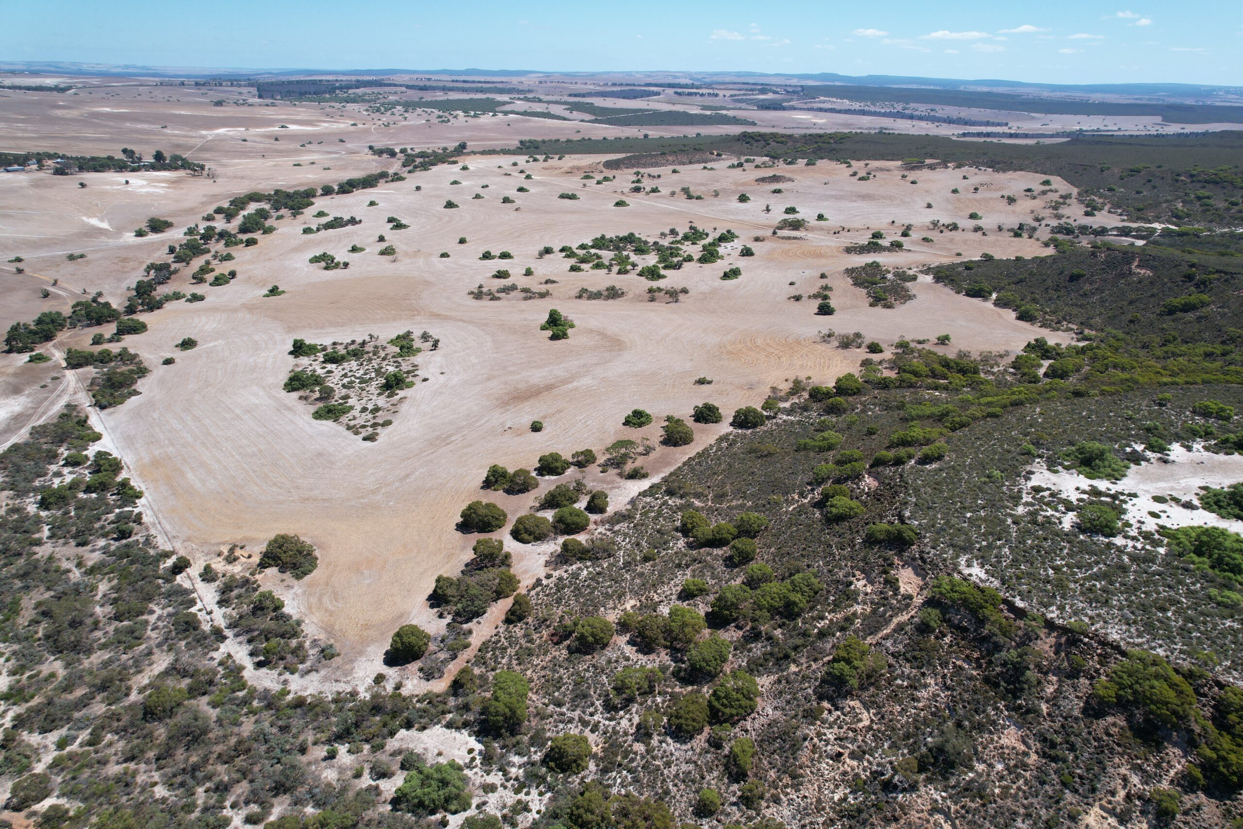 Drone image of cleared land in between areas of remnant vegetation.